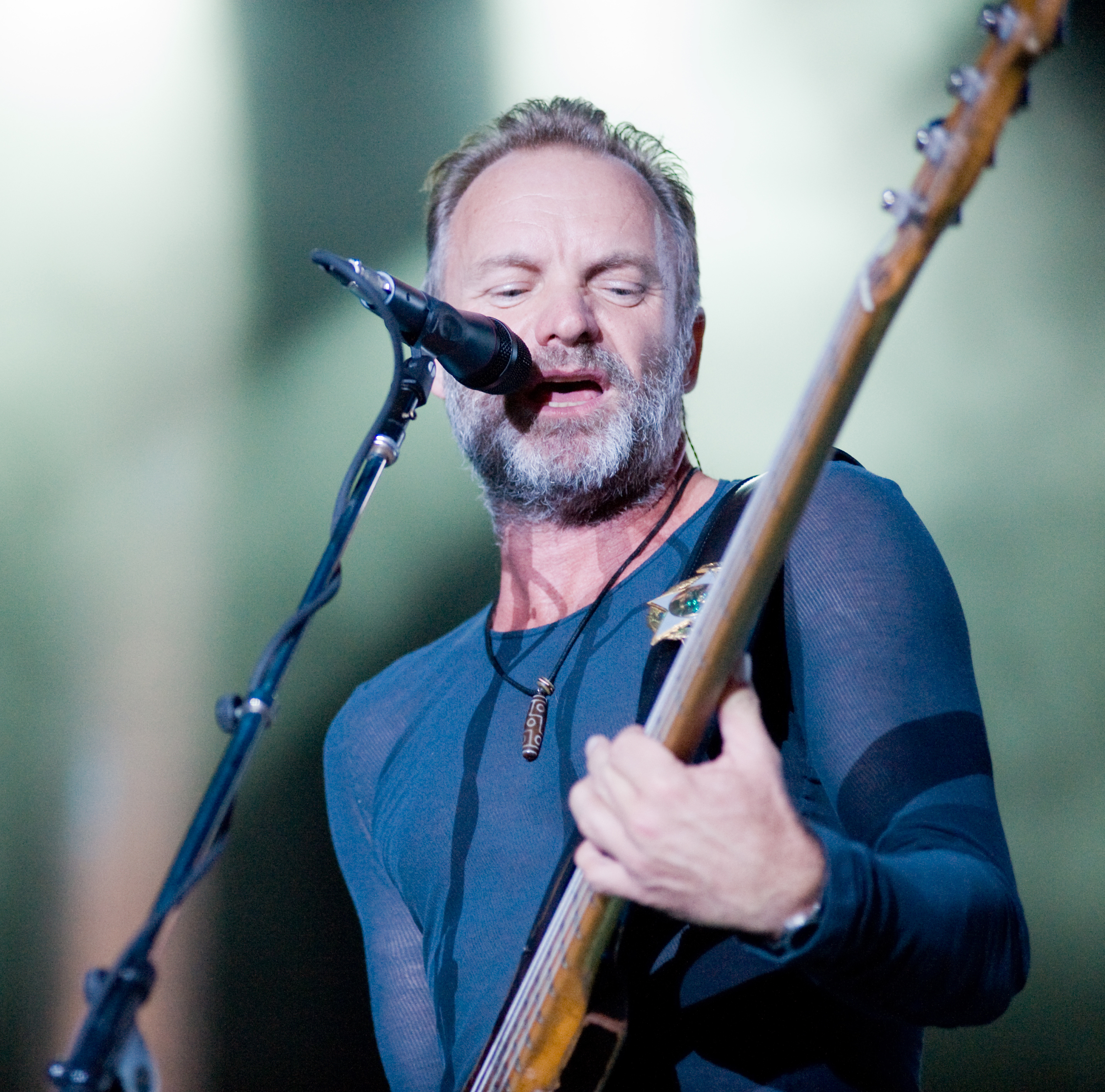 Rock musician and composer Sting