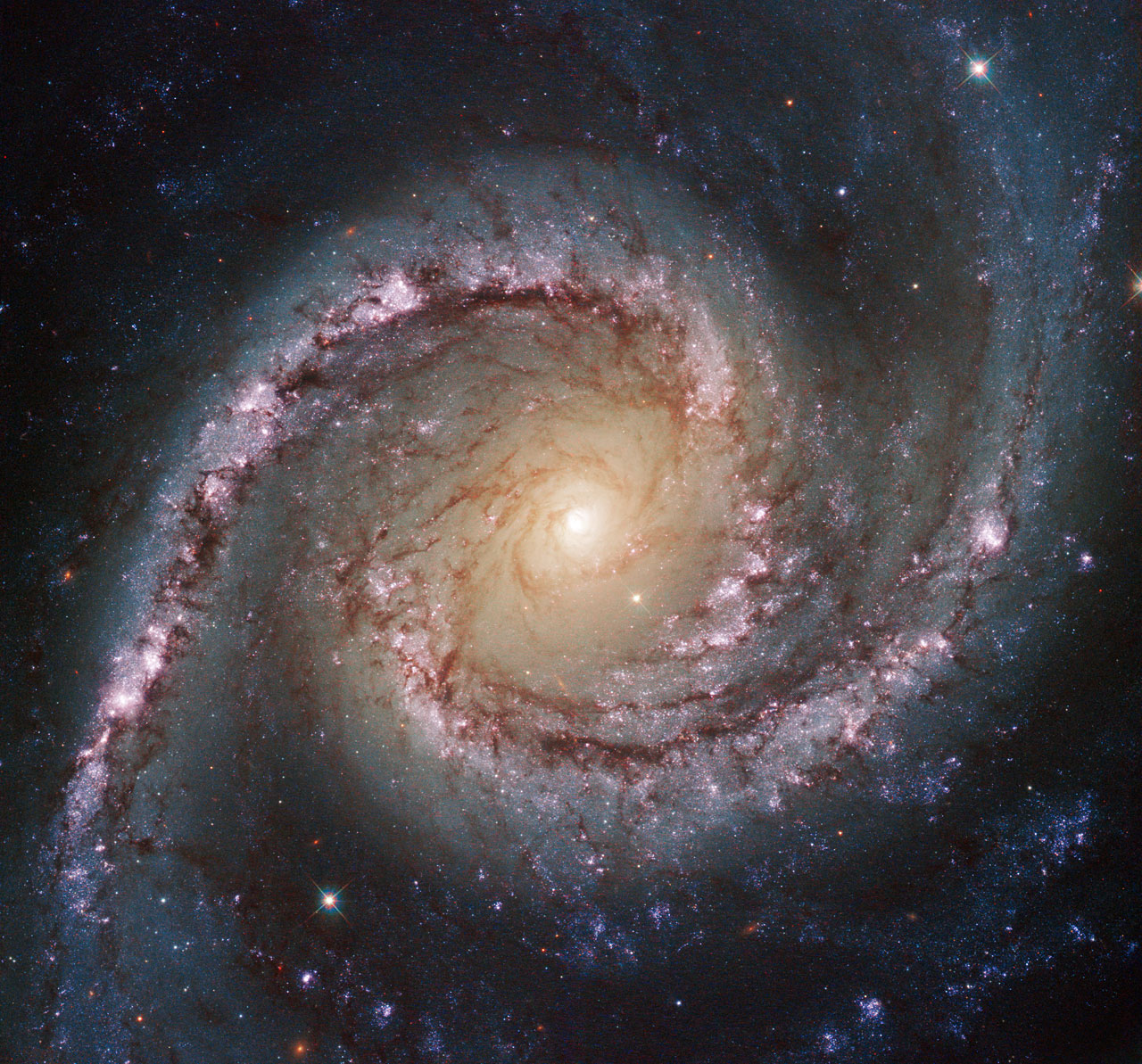 Seyfert galaxy