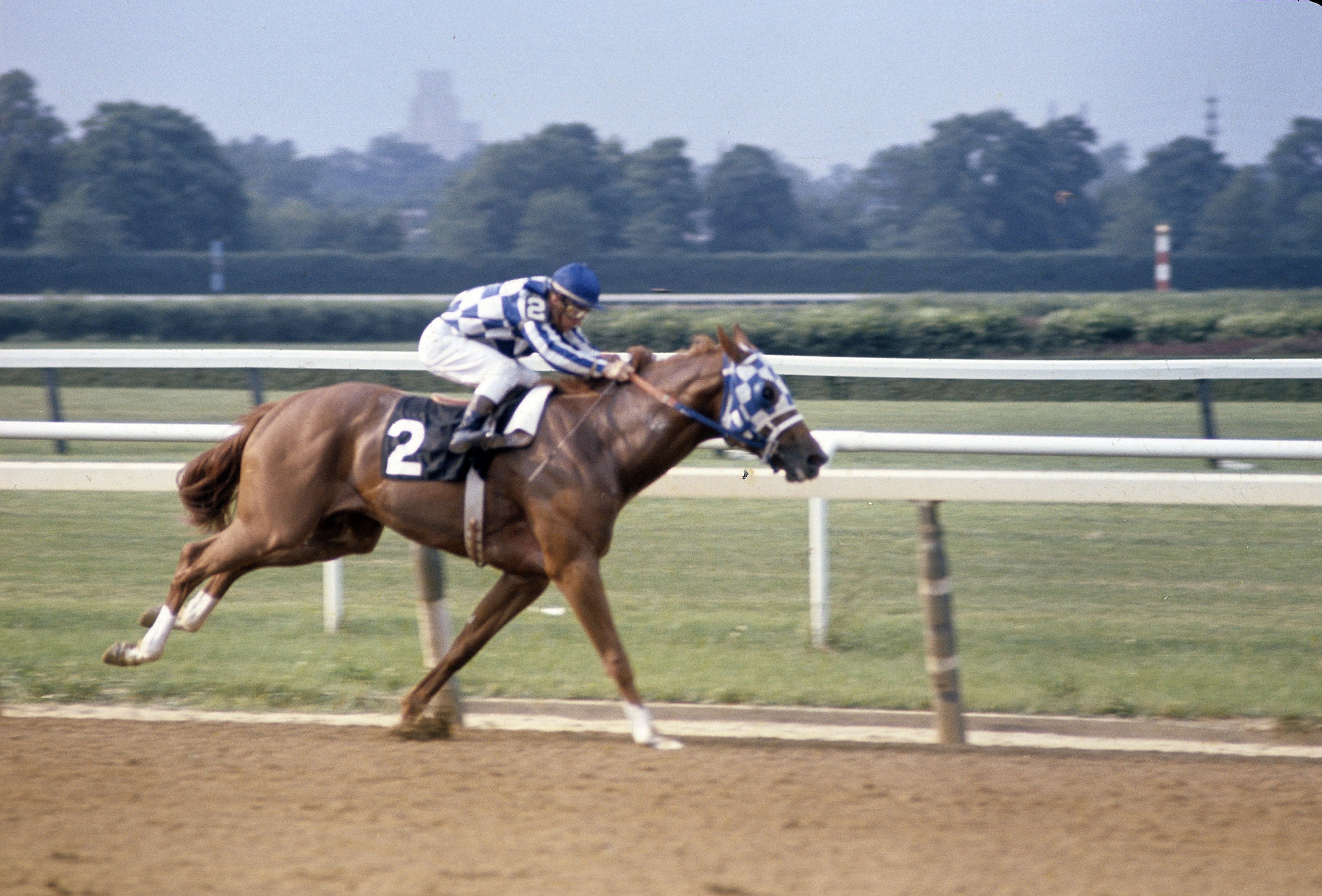 Triple Crown race horse Secretariat