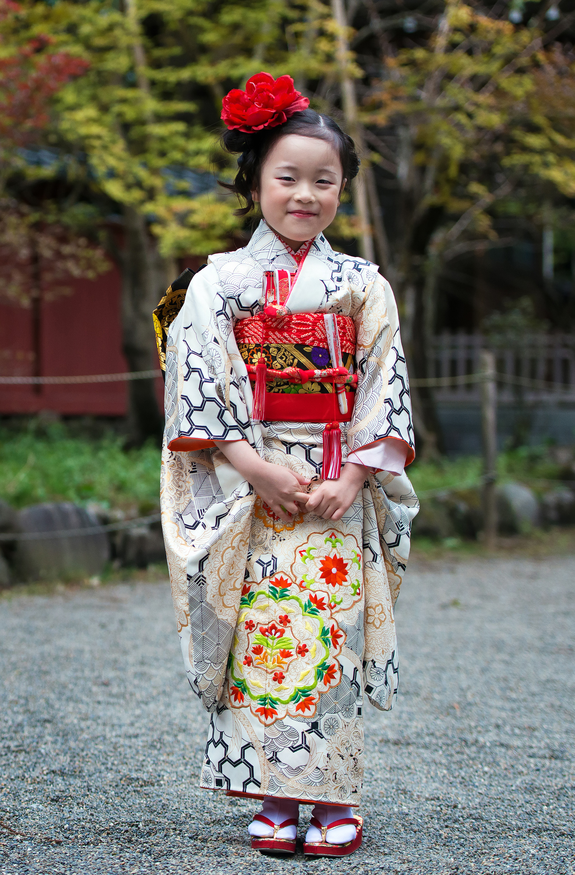 Japanese girl wearing kimono