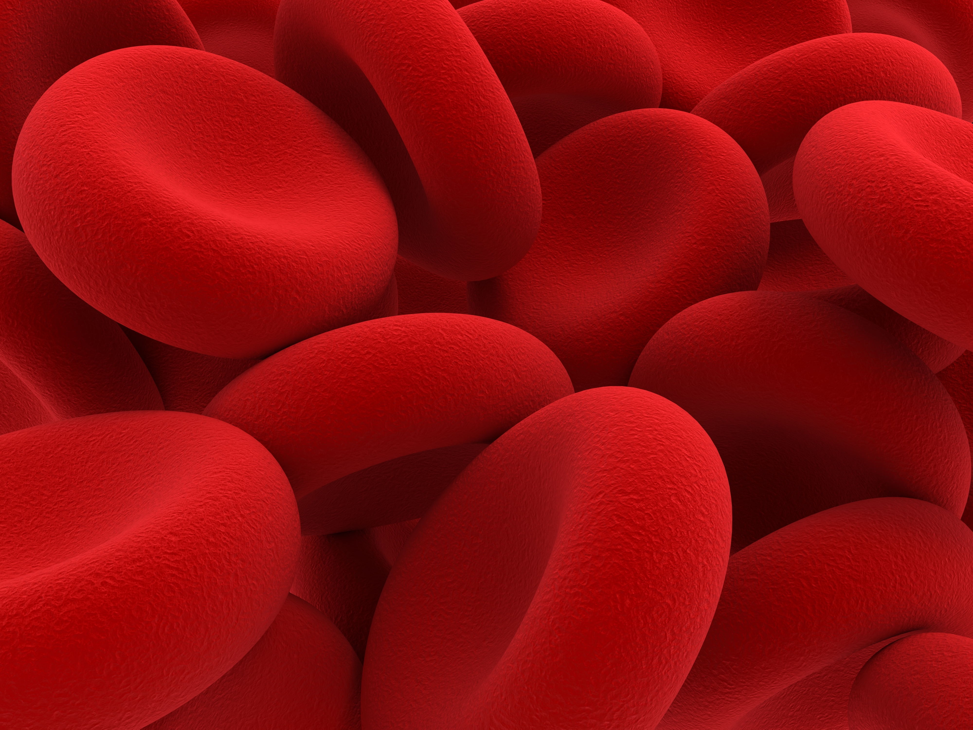 Red blood cells