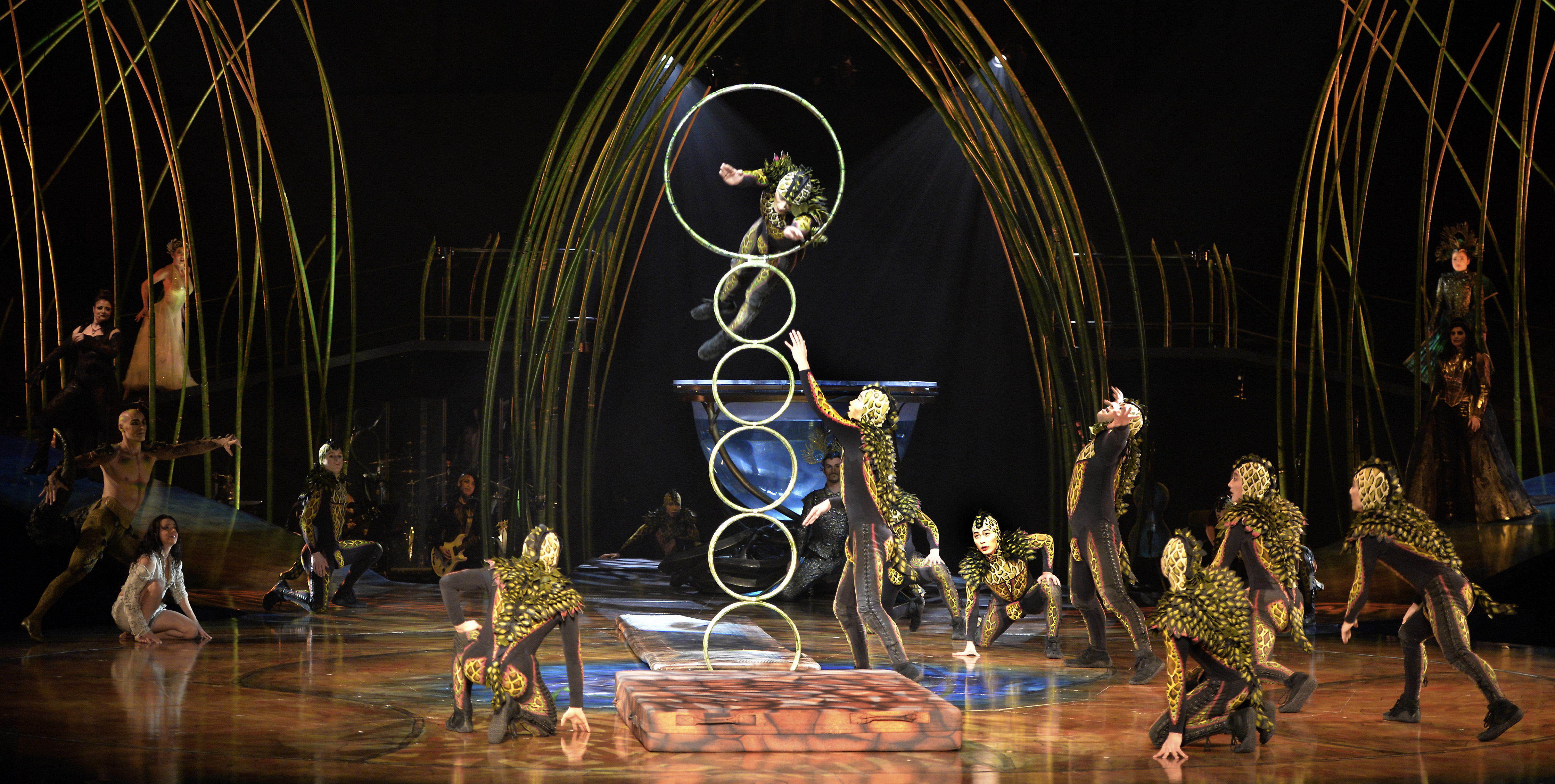 Cirque du Soleil