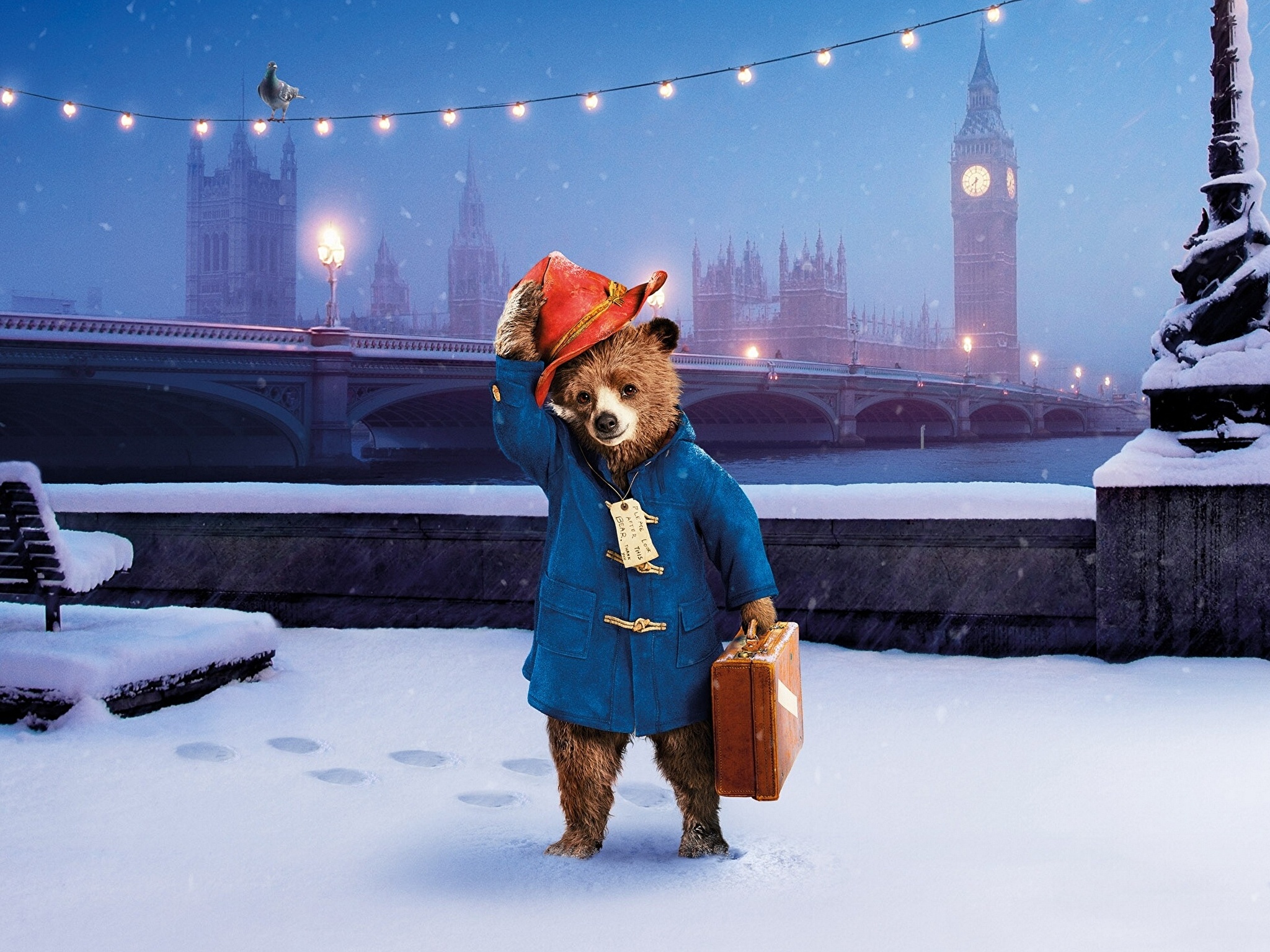 Paddington Bear