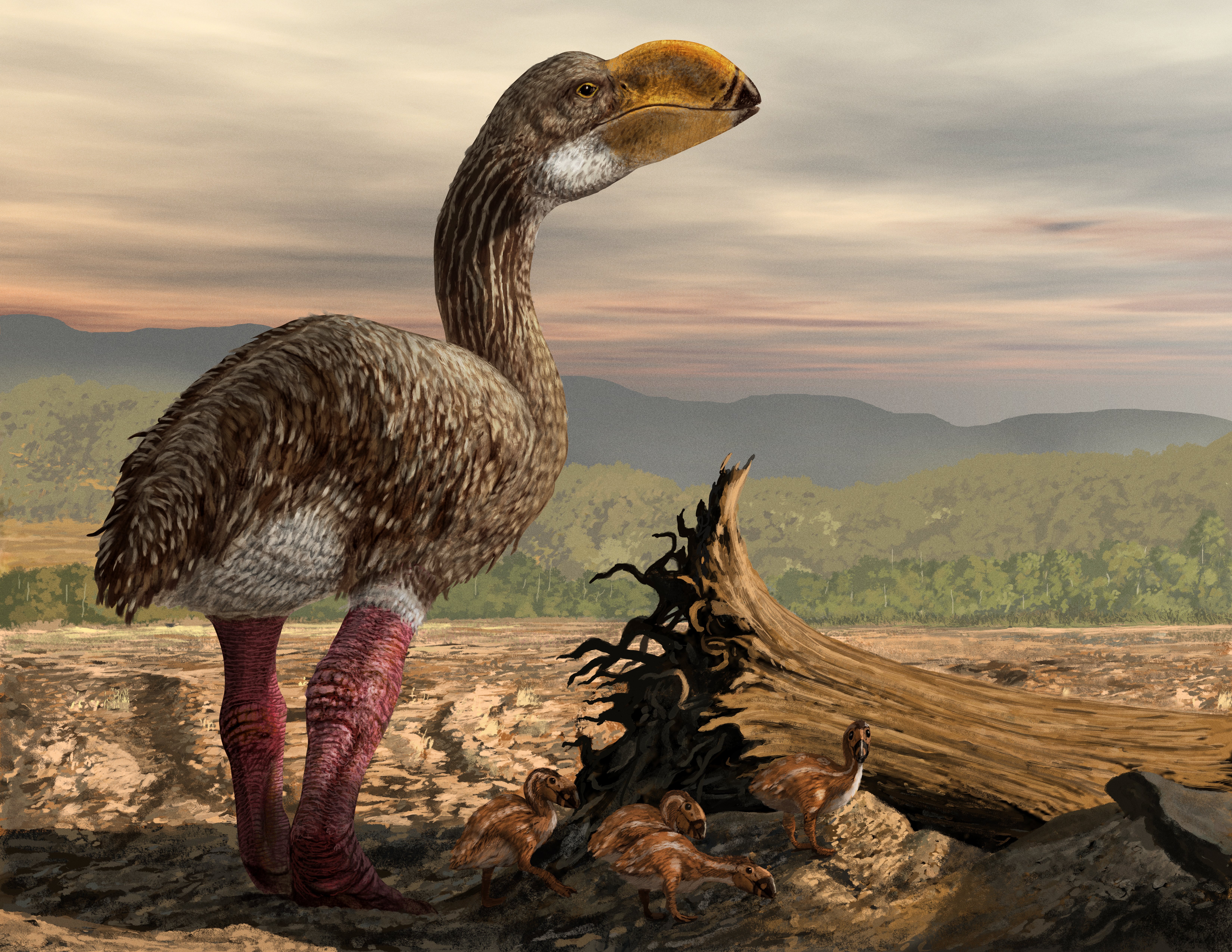 Artist depiction of a Thunder bird