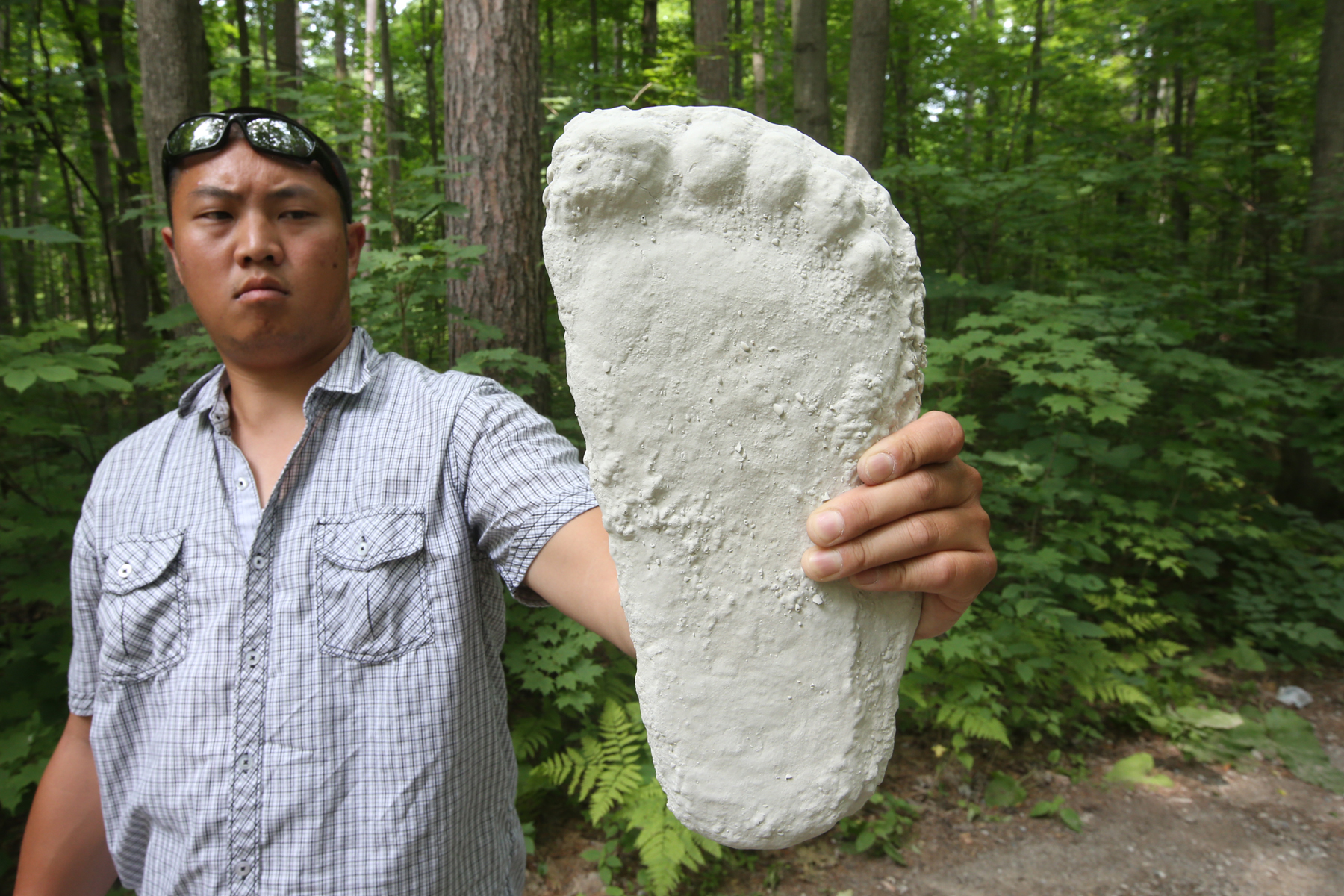 Bigfoot footprint cast 