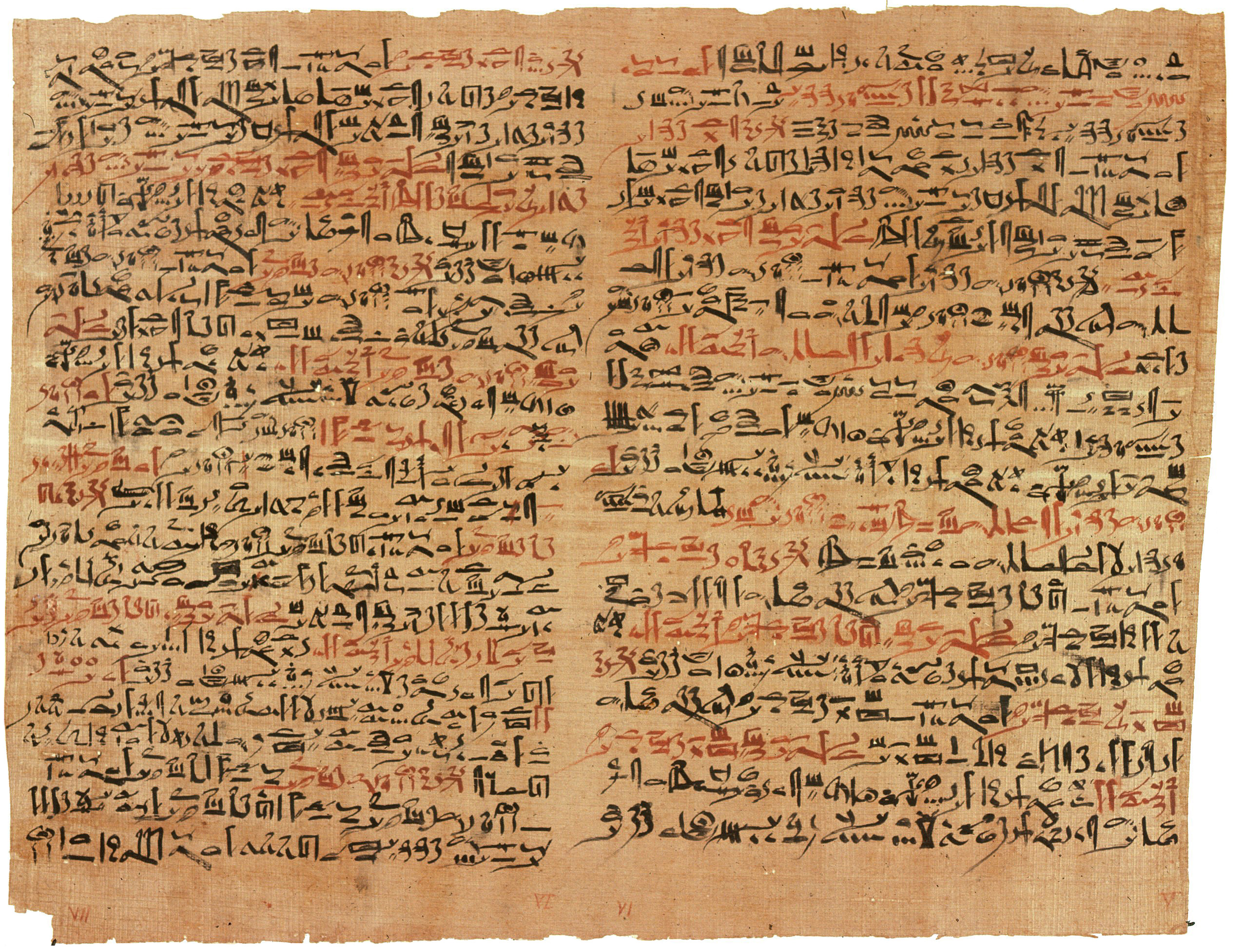 The Edwin Smith papyrus