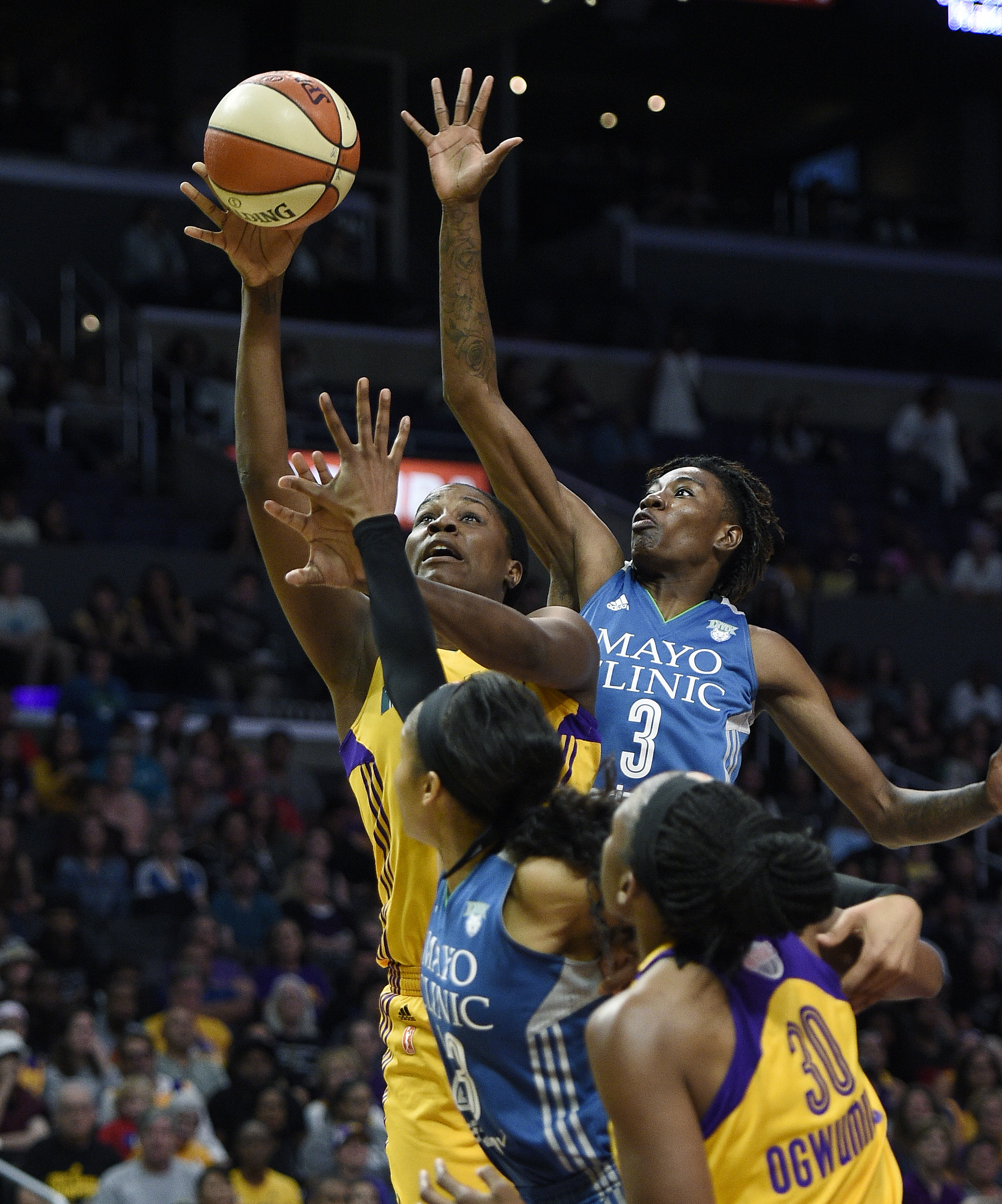 Women's National Basketball Association (WNBA)