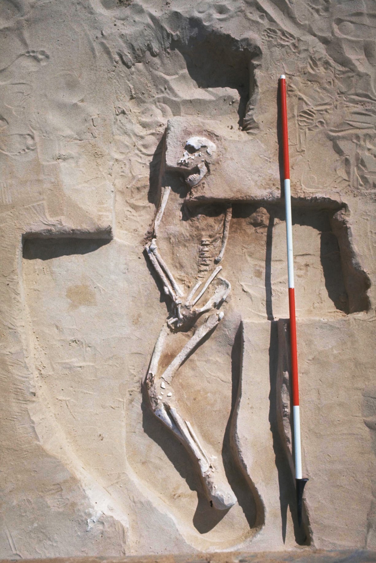 Mungo III burial