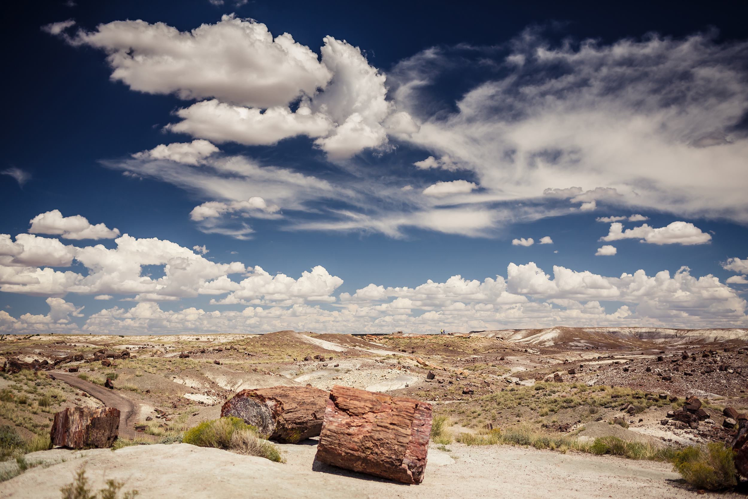 Petrified Forest National Park in Arizona