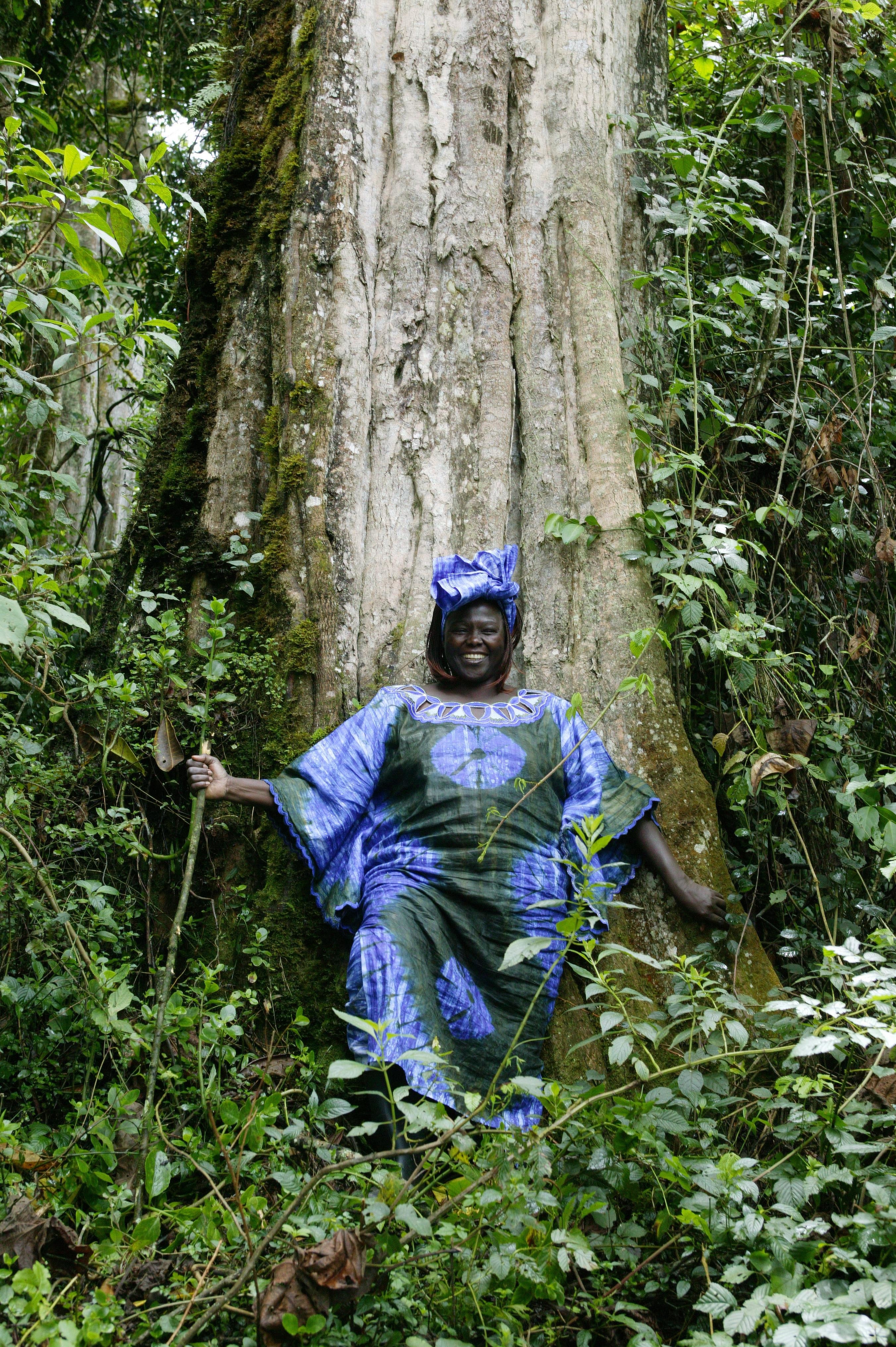 Kenyan activist and environmentalist Wangari Muta Maathai