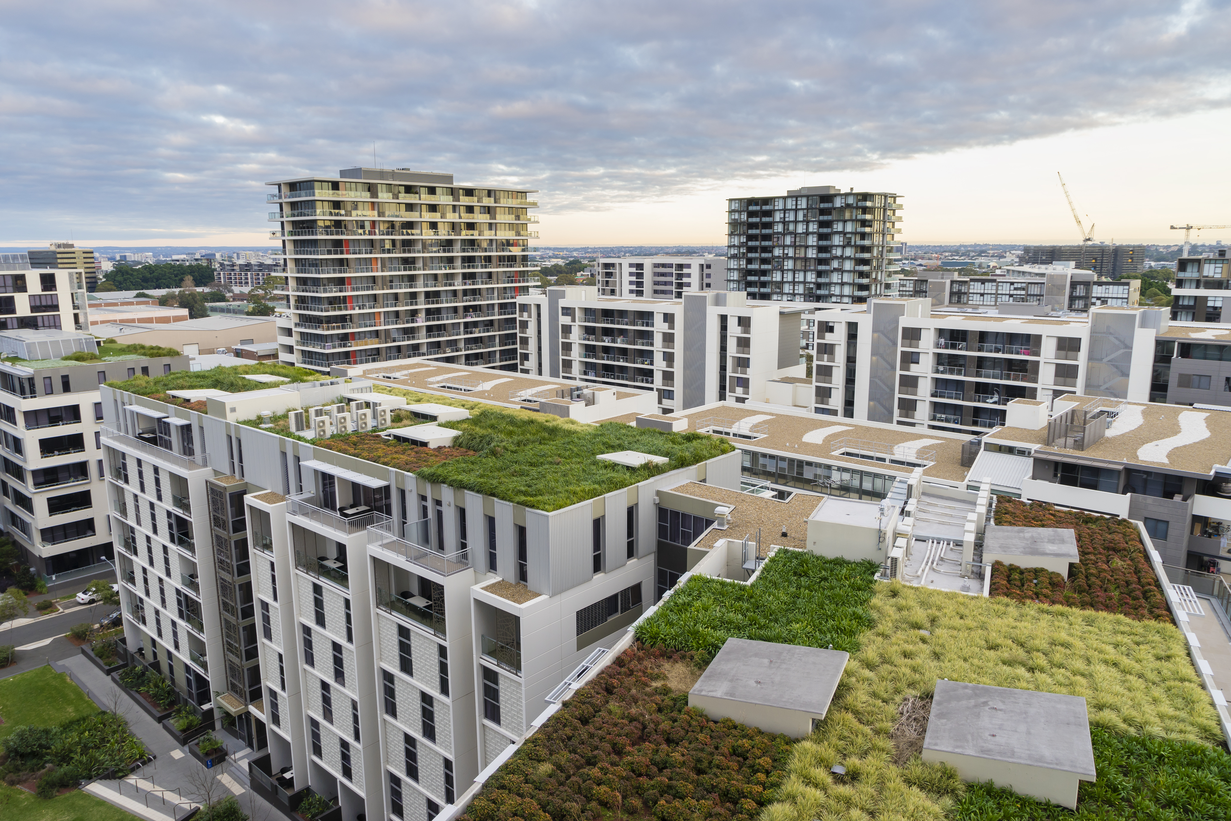 Green roofs in Sydney, Australia