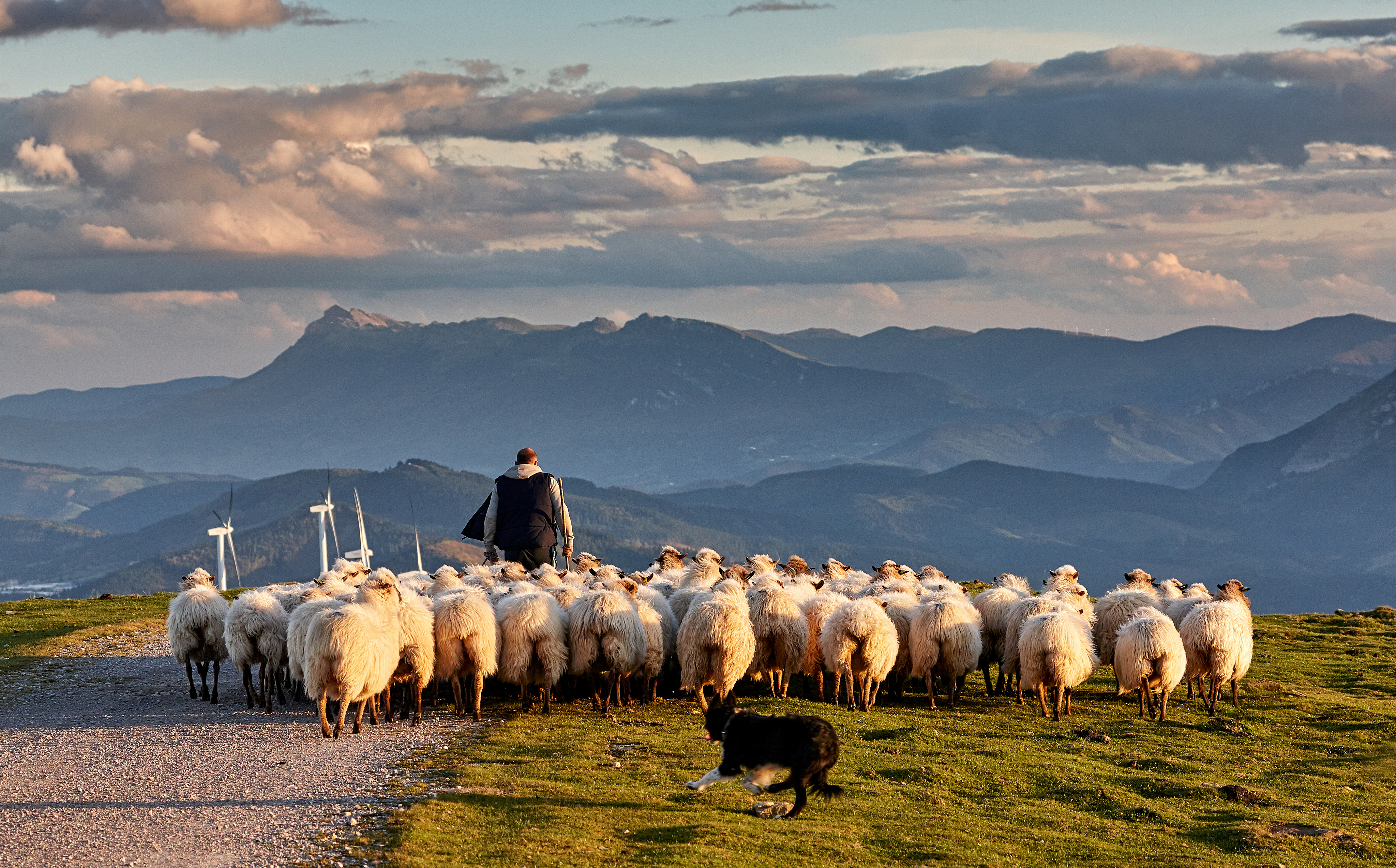 Basque shepherd atop Mount Oiz in northern Spain