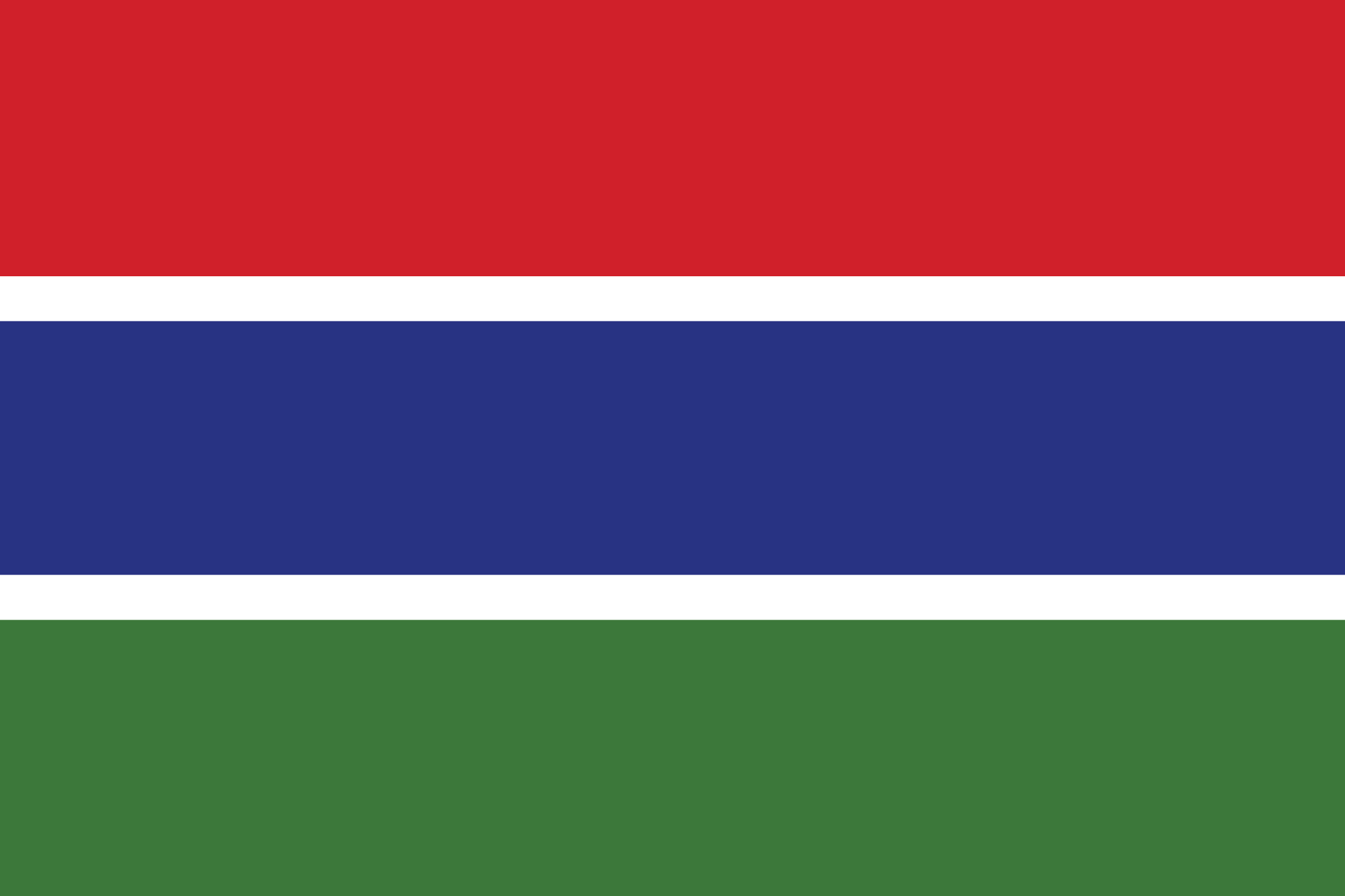 Gambia flag