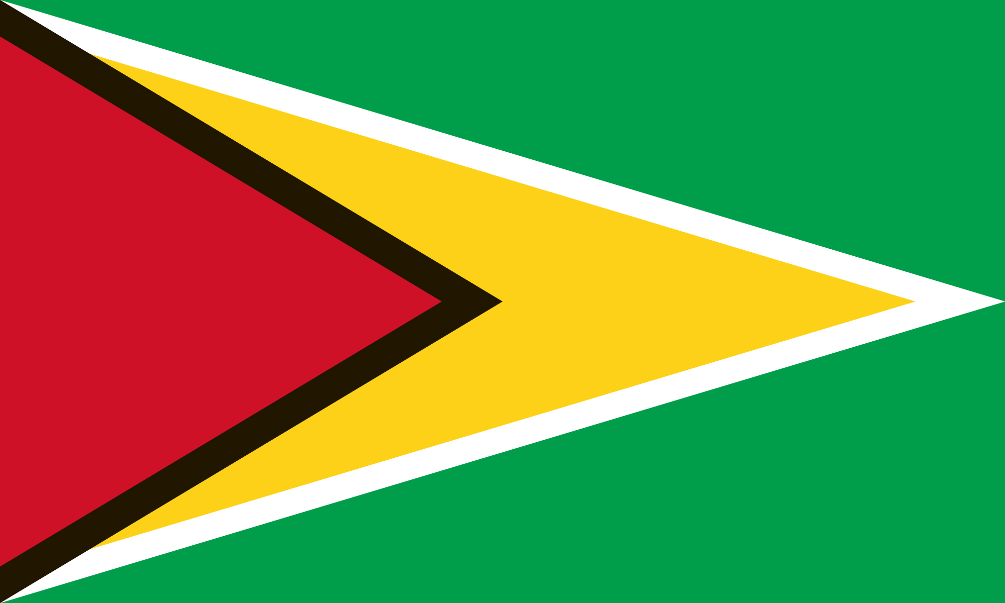 Guyana flag