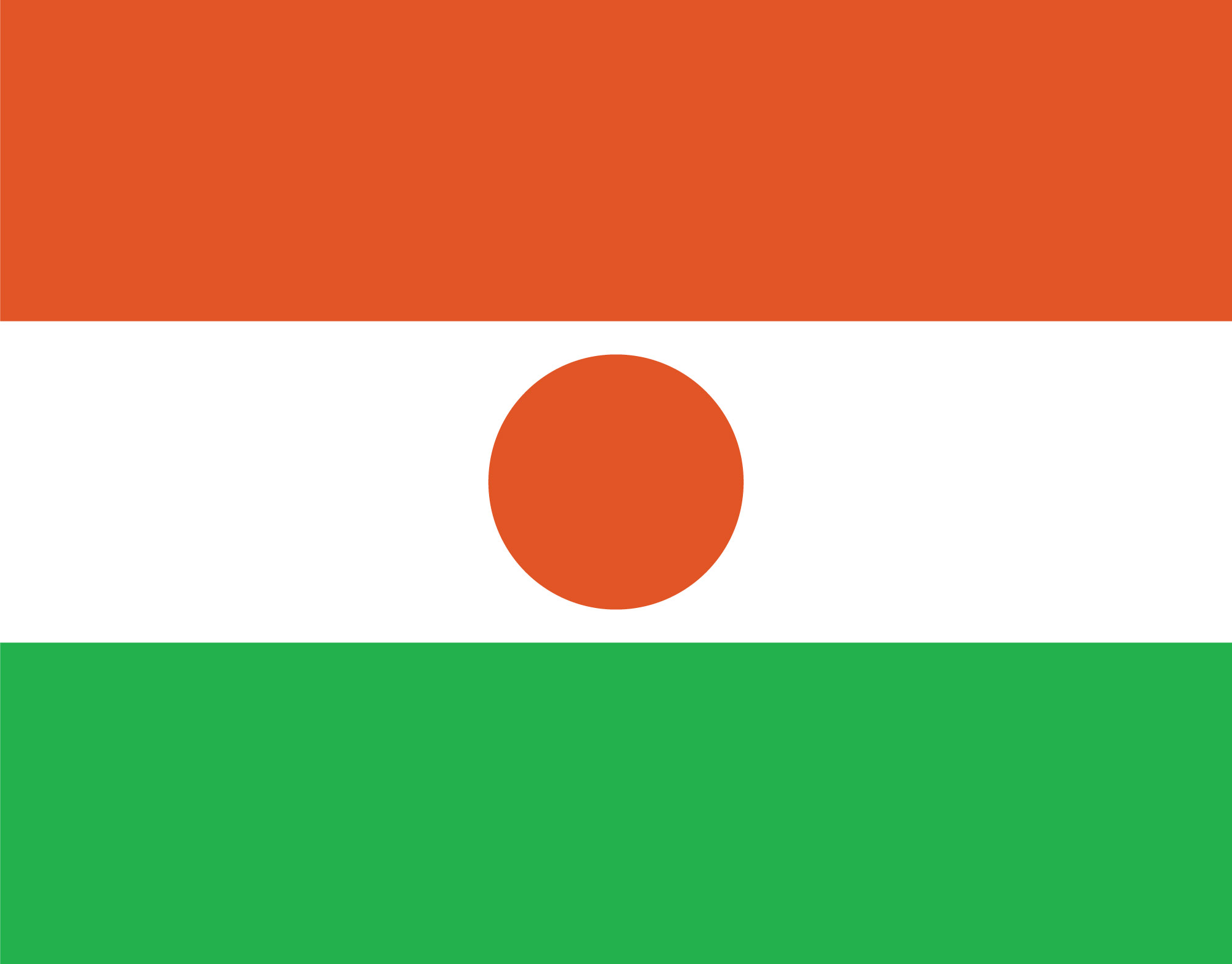 Niger flag