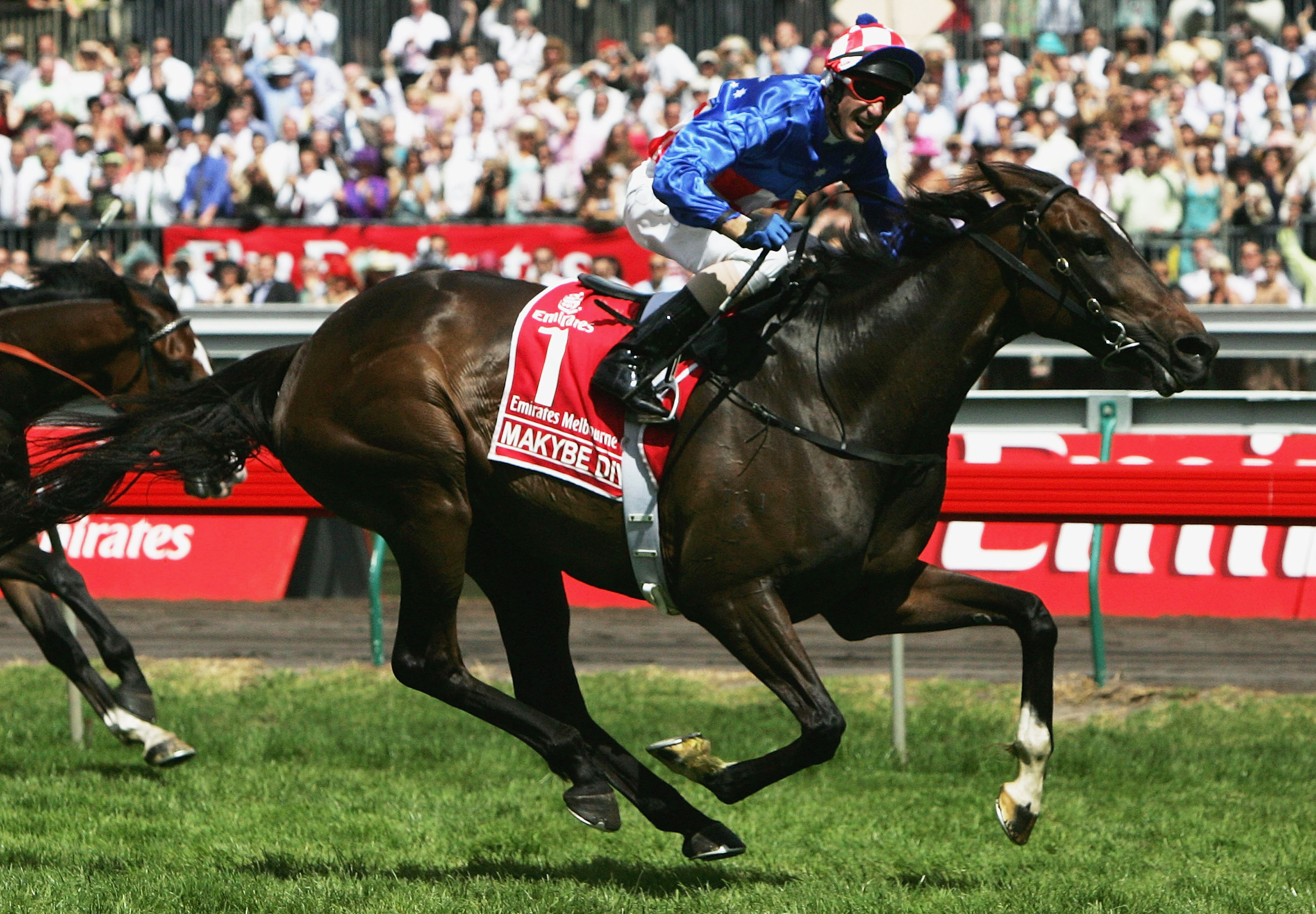 Makybe Diva in the Melbourne Cup