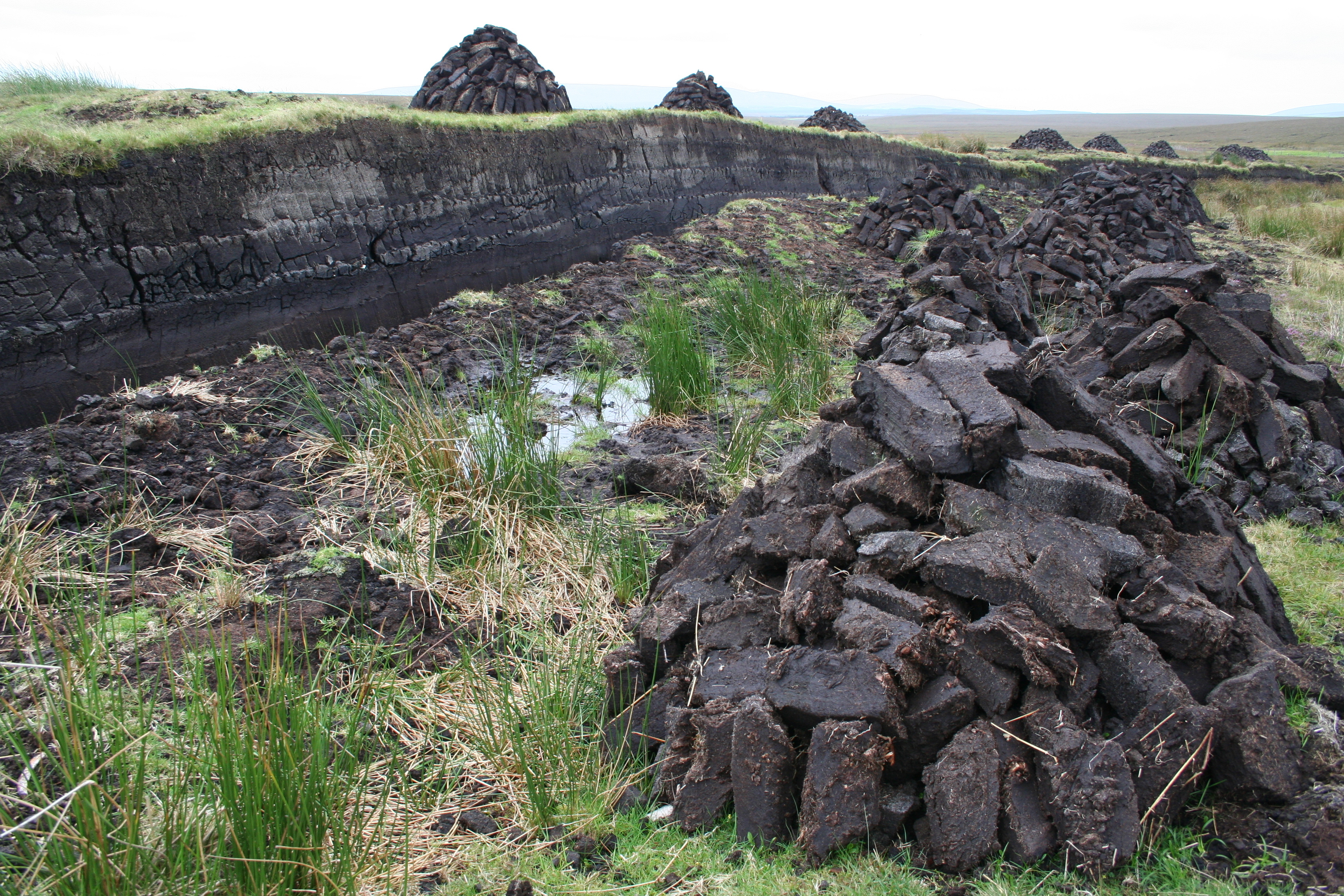 Blocks of peat harvested at peat bog in Ireland