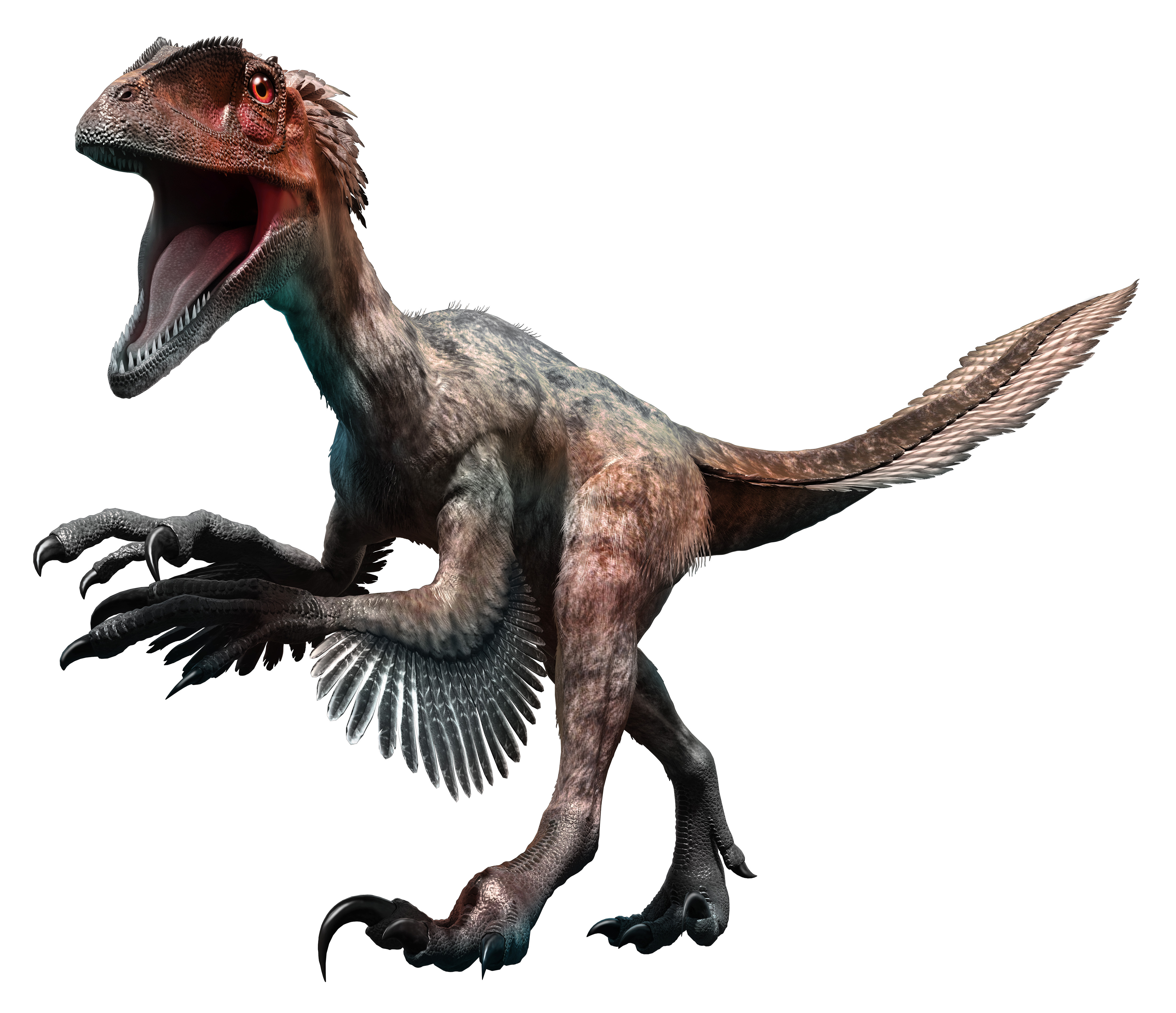 Deinonychus