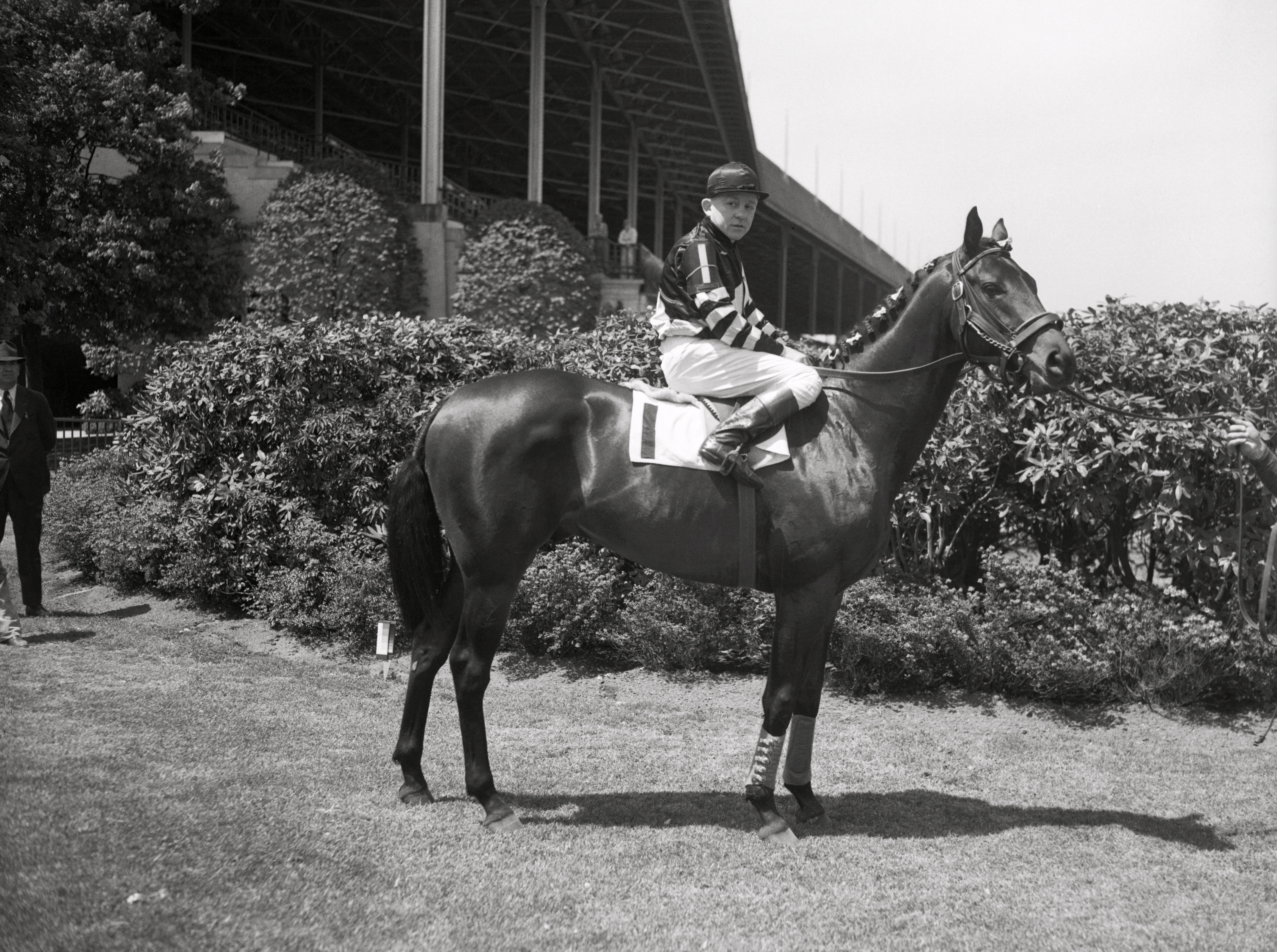 American race horse War Admiral