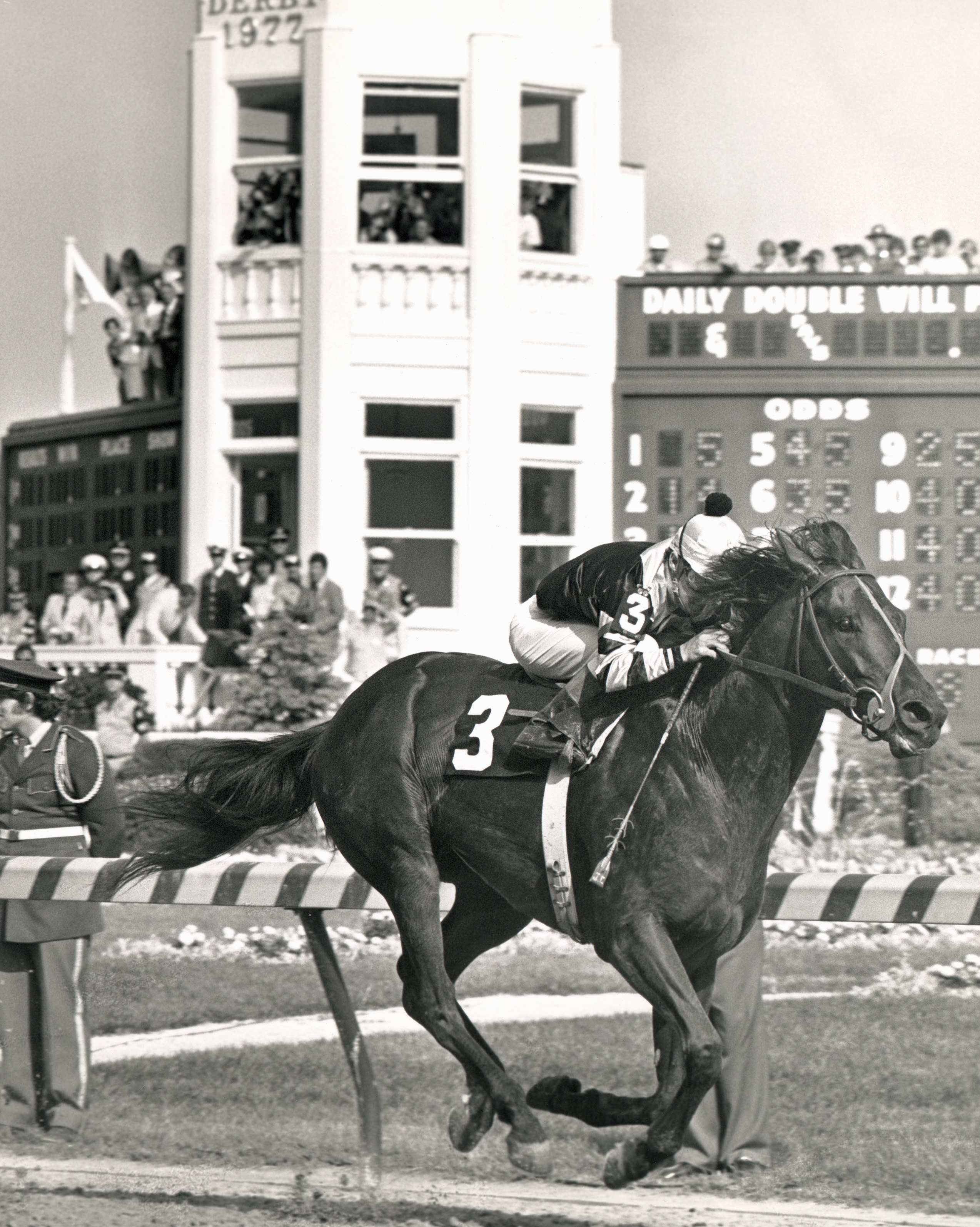 American race horse Seattle Slew