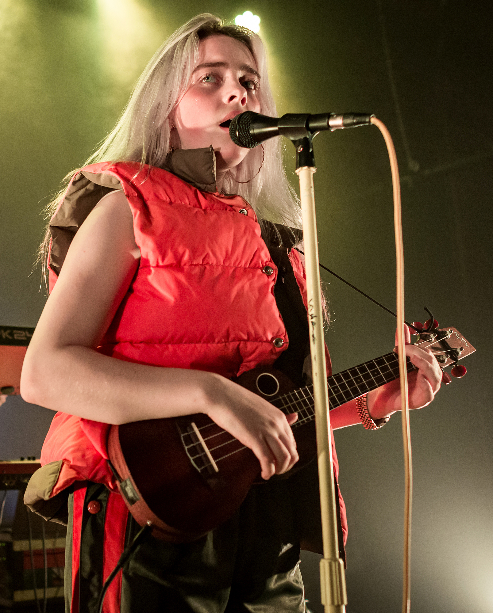 American musician Billie Eilish