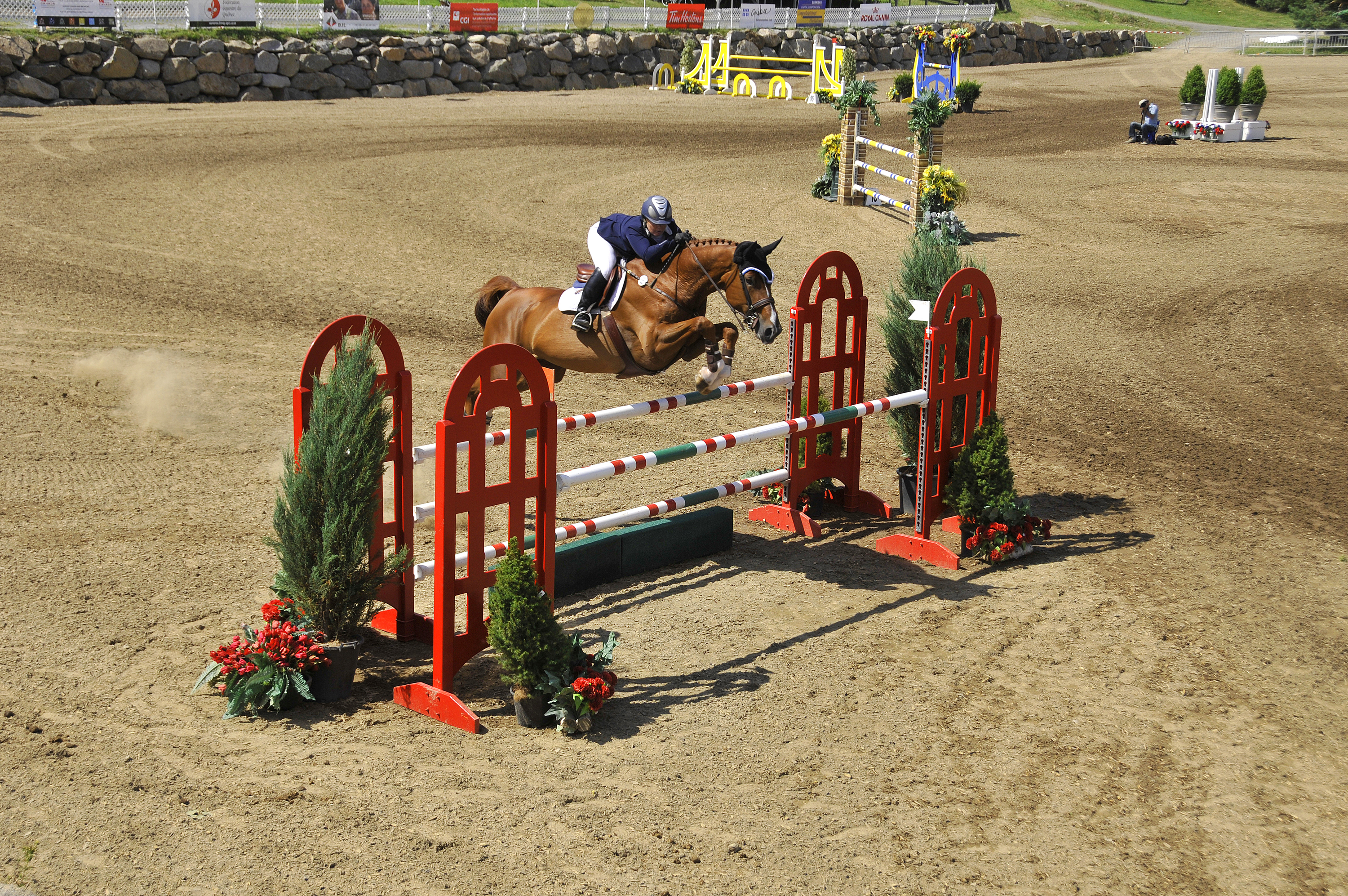 Horse jumping course