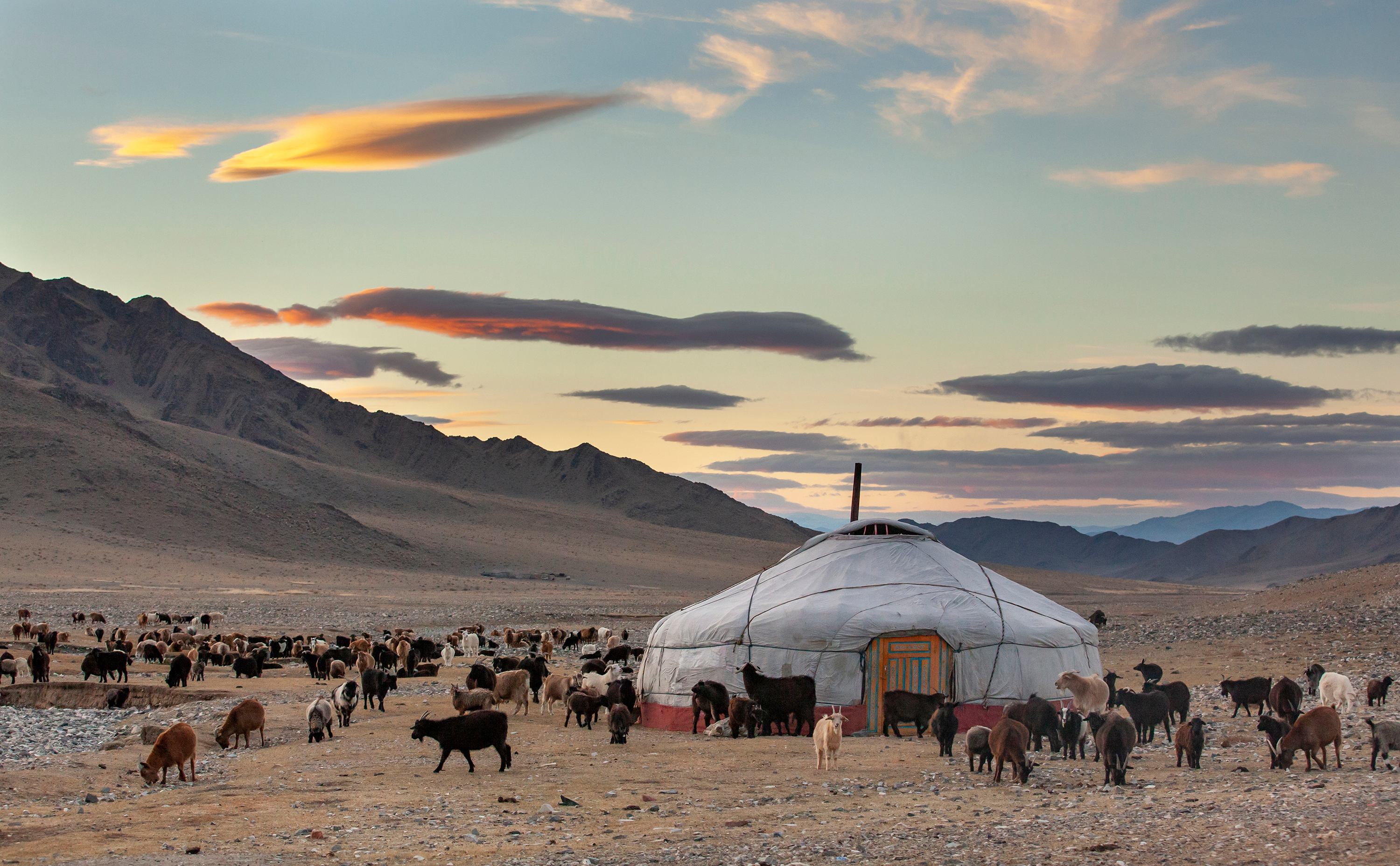 Nomadic herders on the Mongolian plains