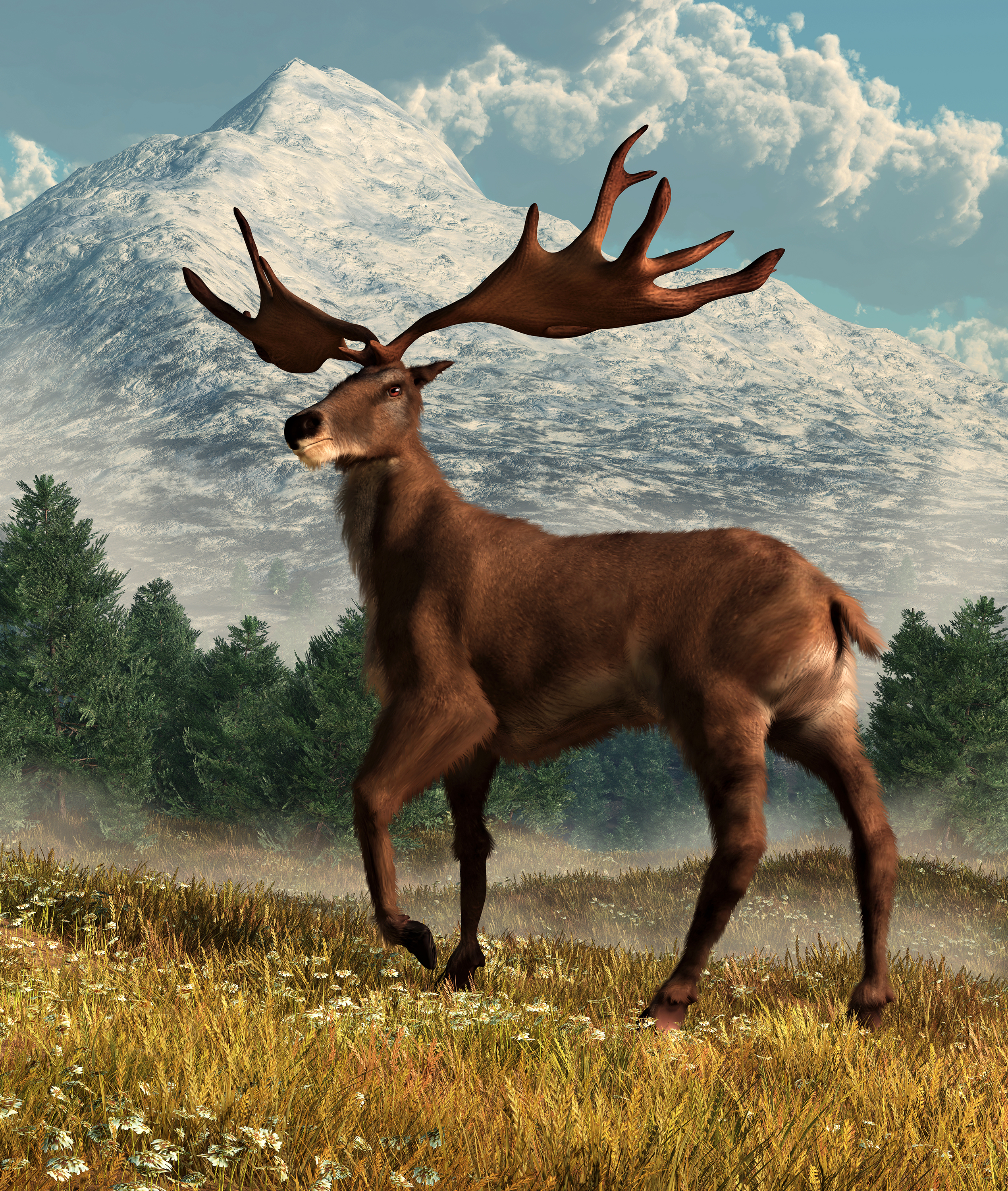 Irish elk, a prehistoric deer