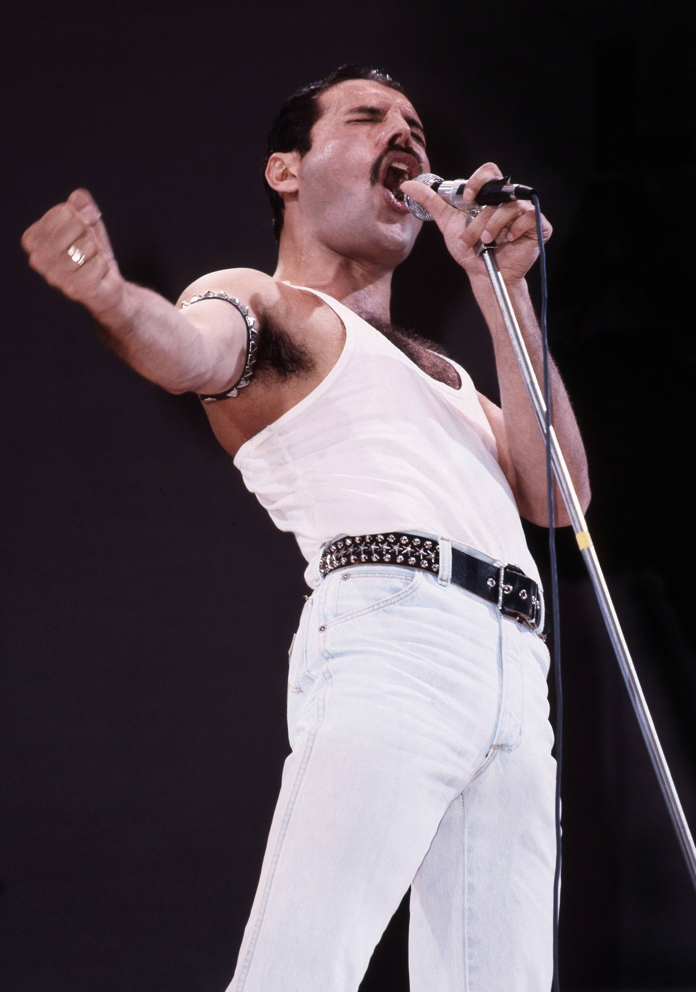 British musician Freddie Mercury