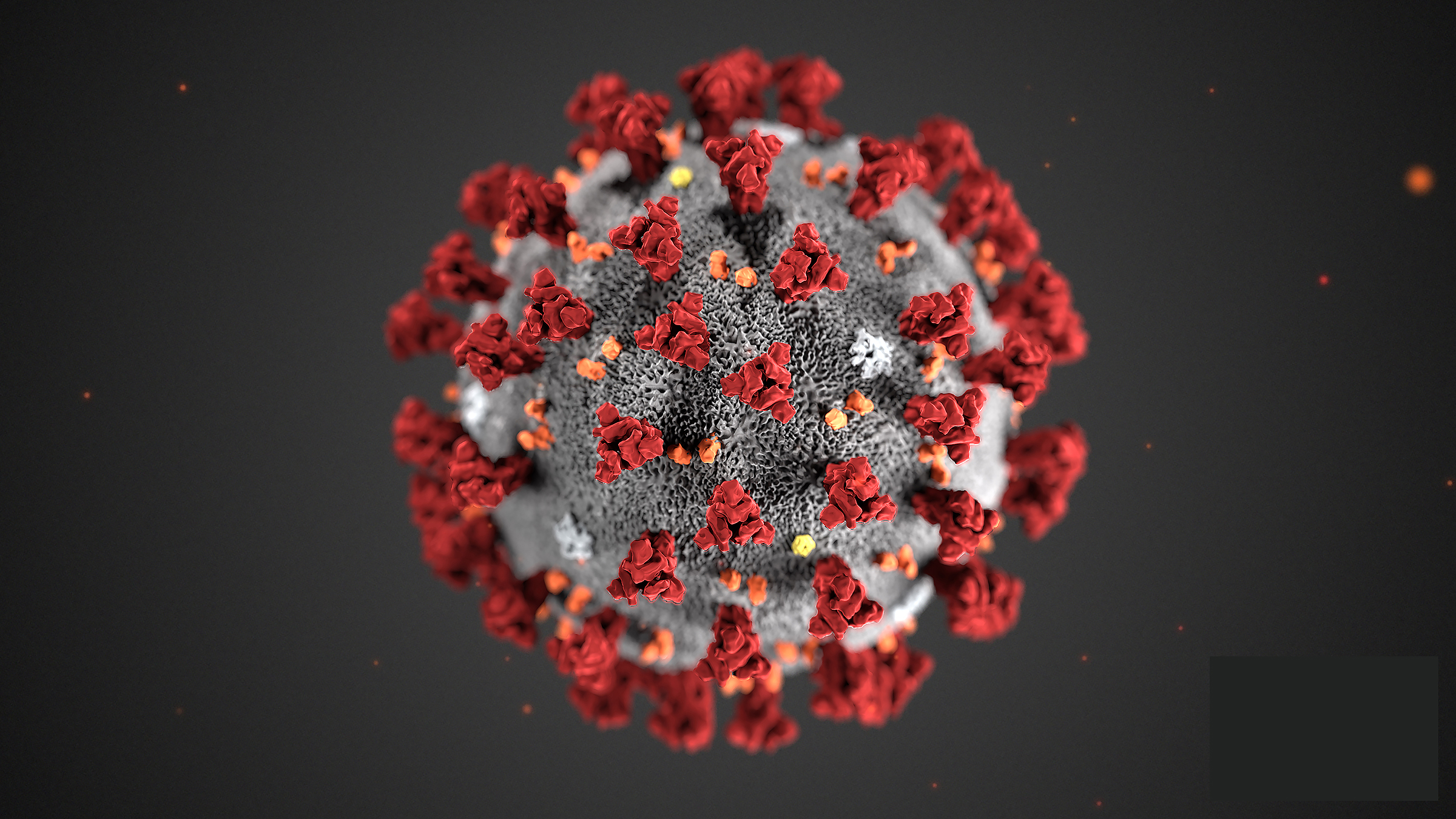 Coronavirus SARS-CoV-2