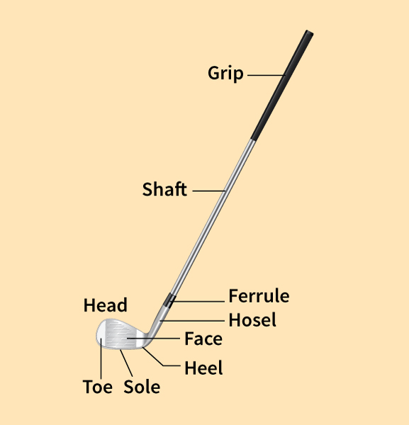 Parts of an iron