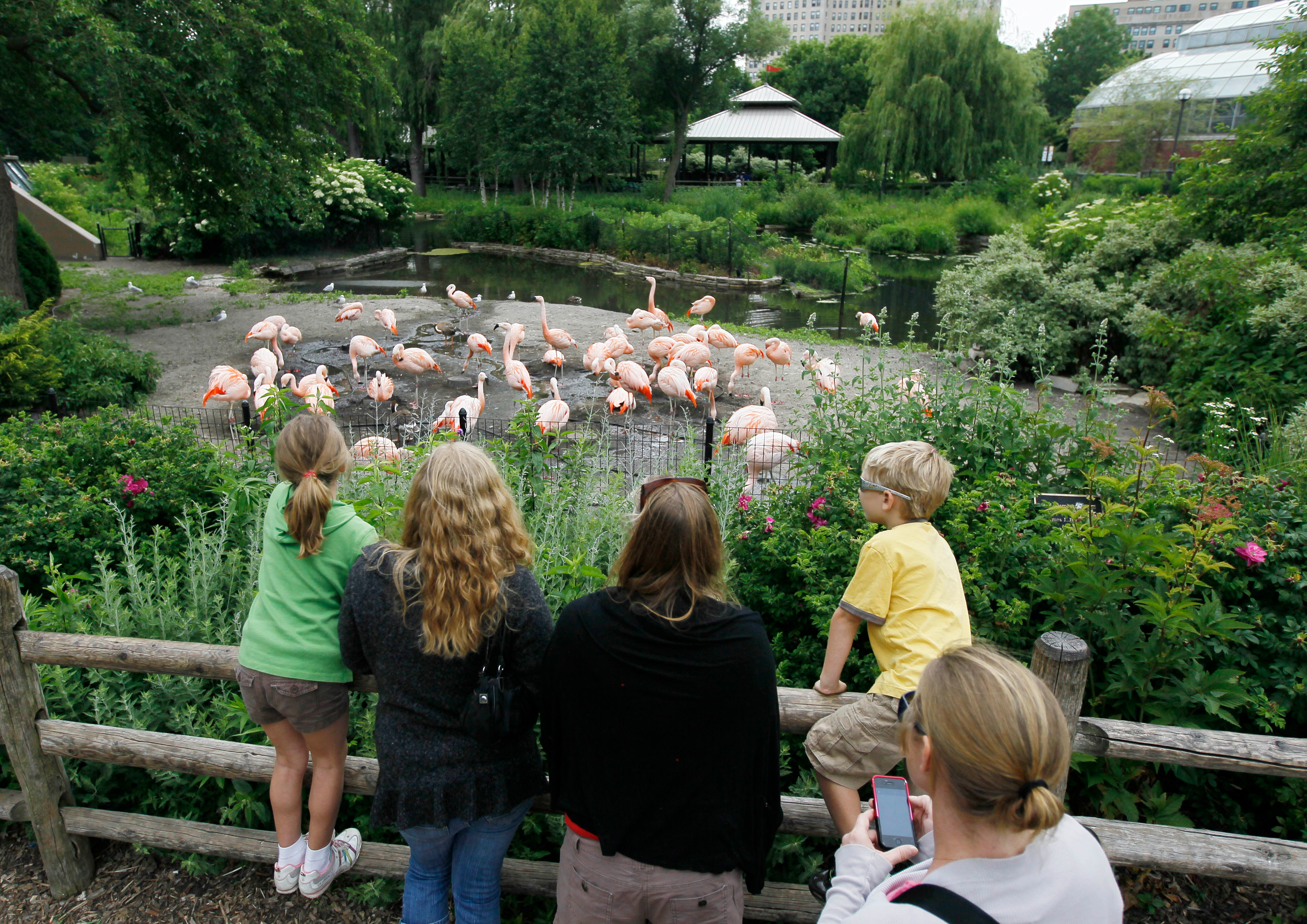 Chicago's Lincoln Park Zoo