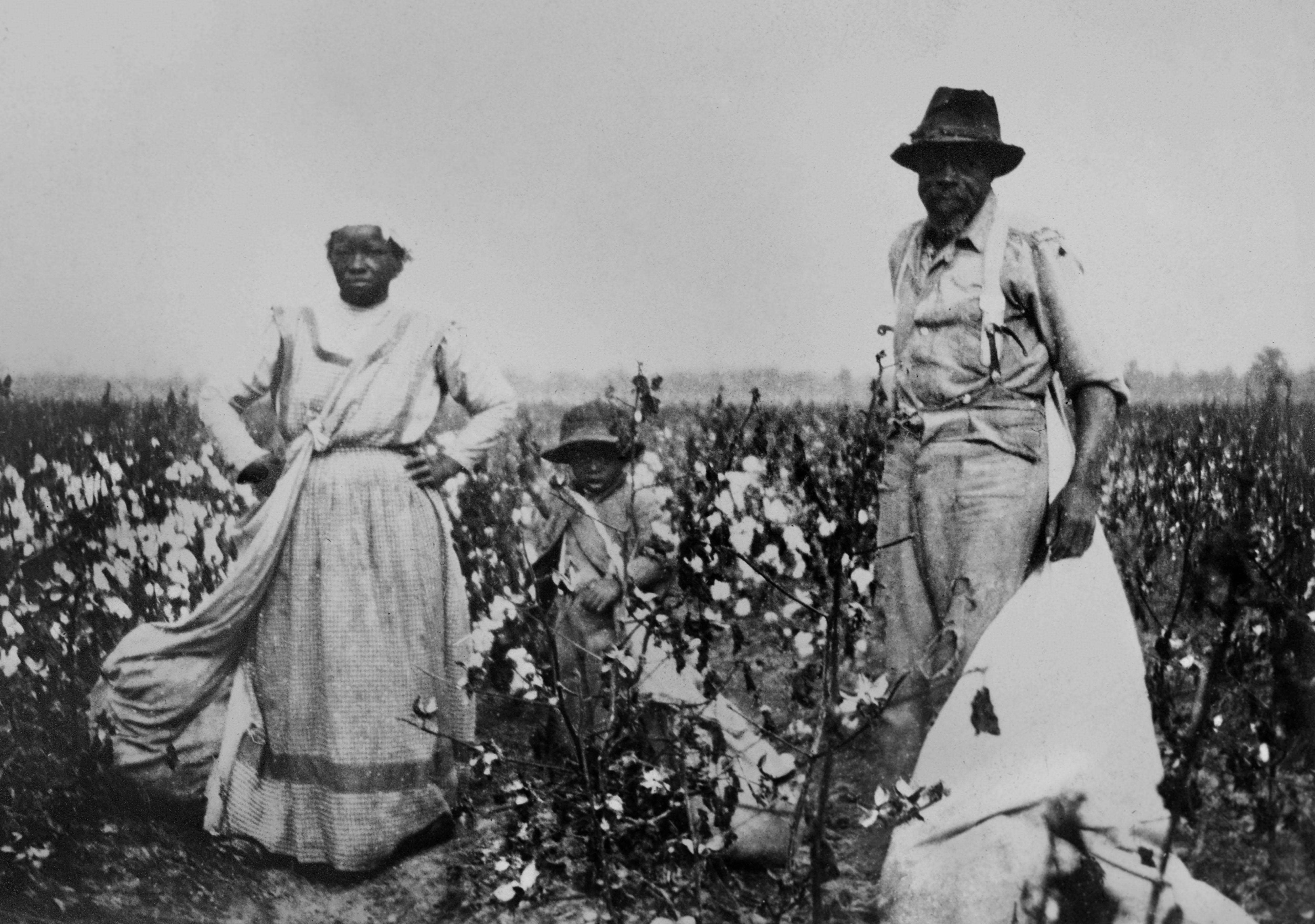 Sharecroppers in Mississippi