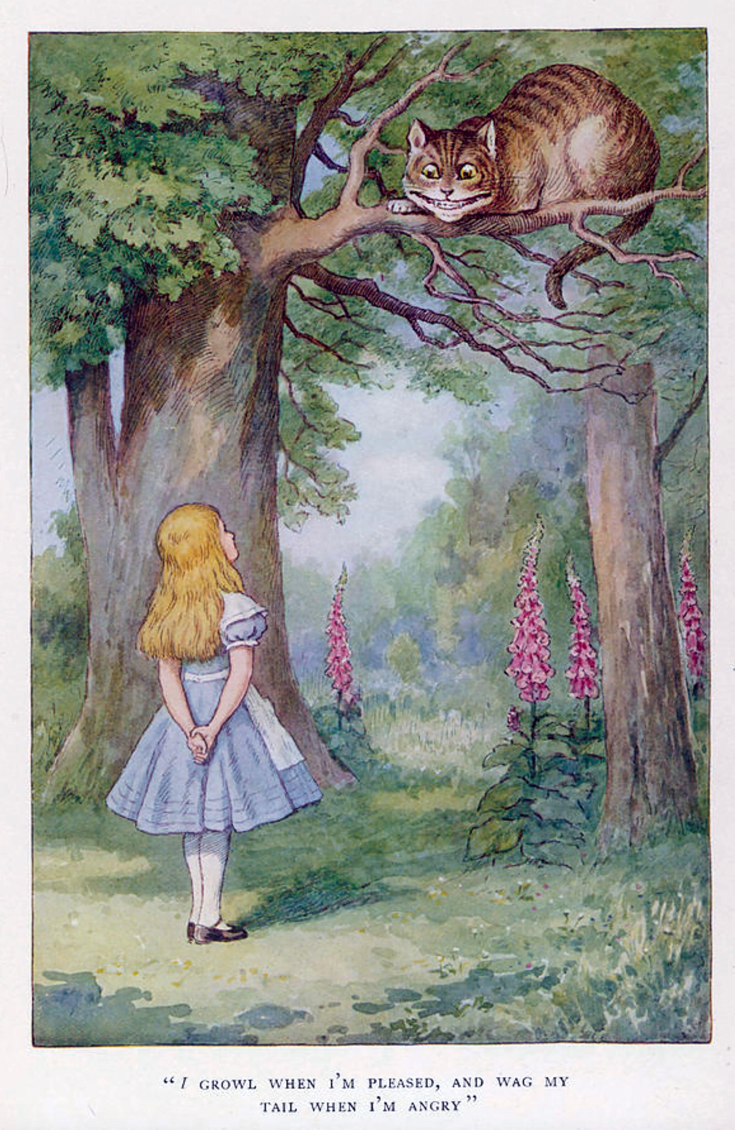 Alice's Adventures in Wonderland 