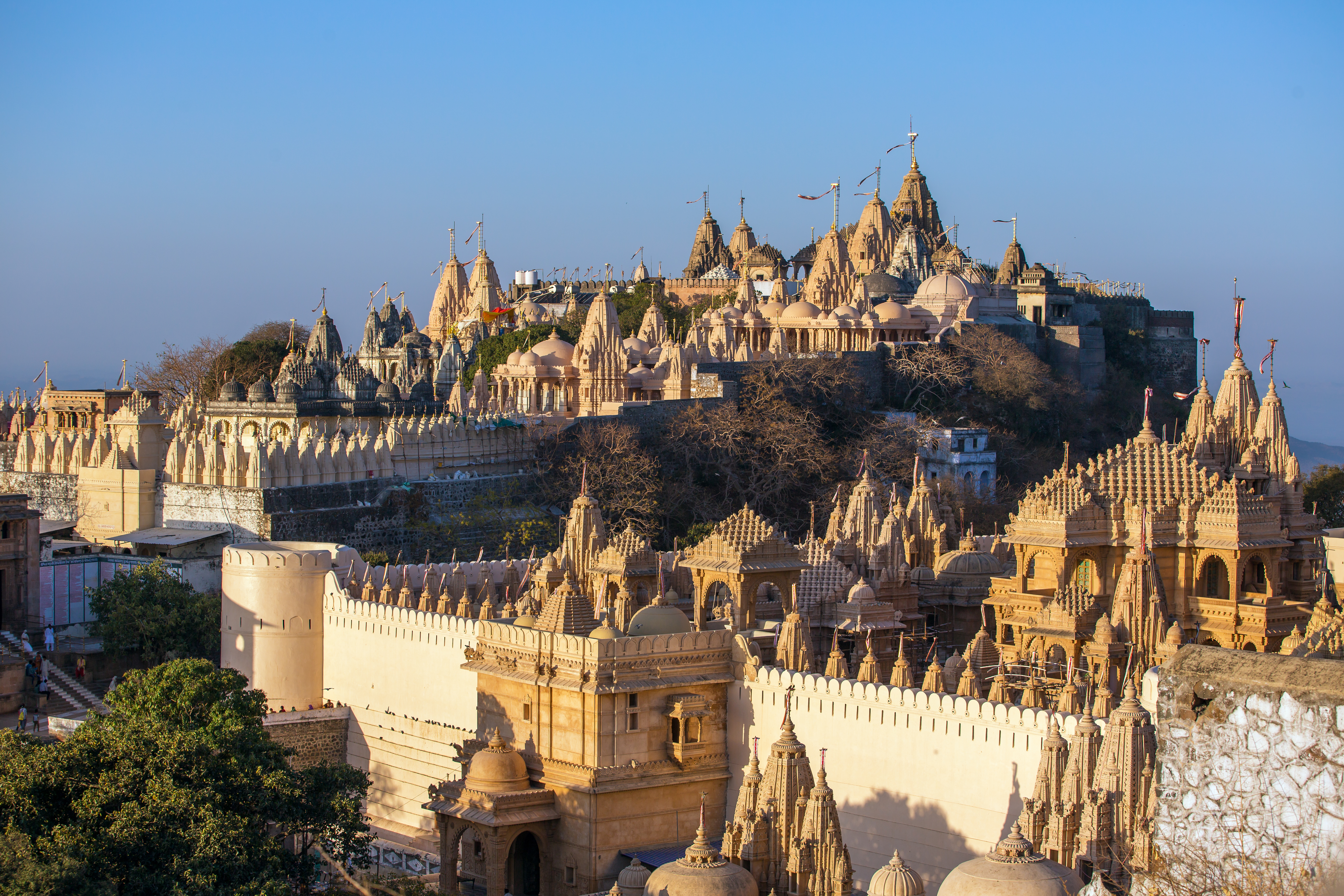 Jain temple complex, Palitana, Gujarat, India