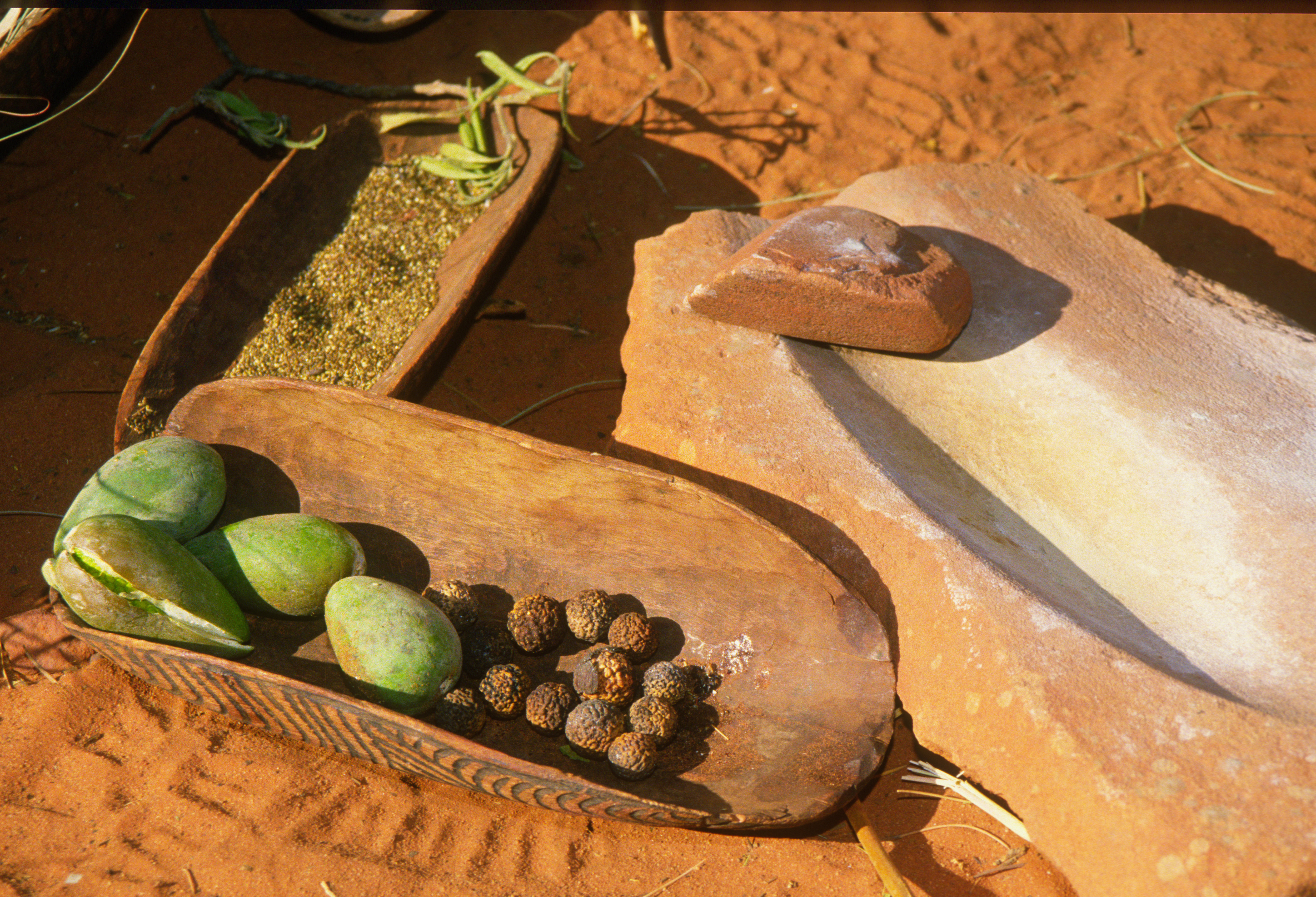 Australian coolamon containing bush tucker