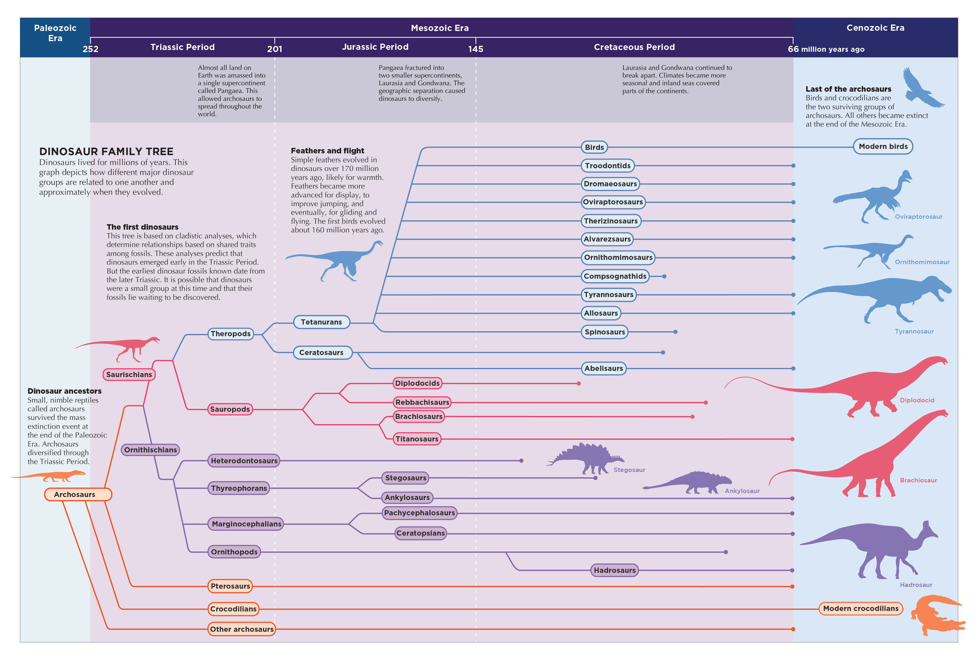 Dinosaur family tree