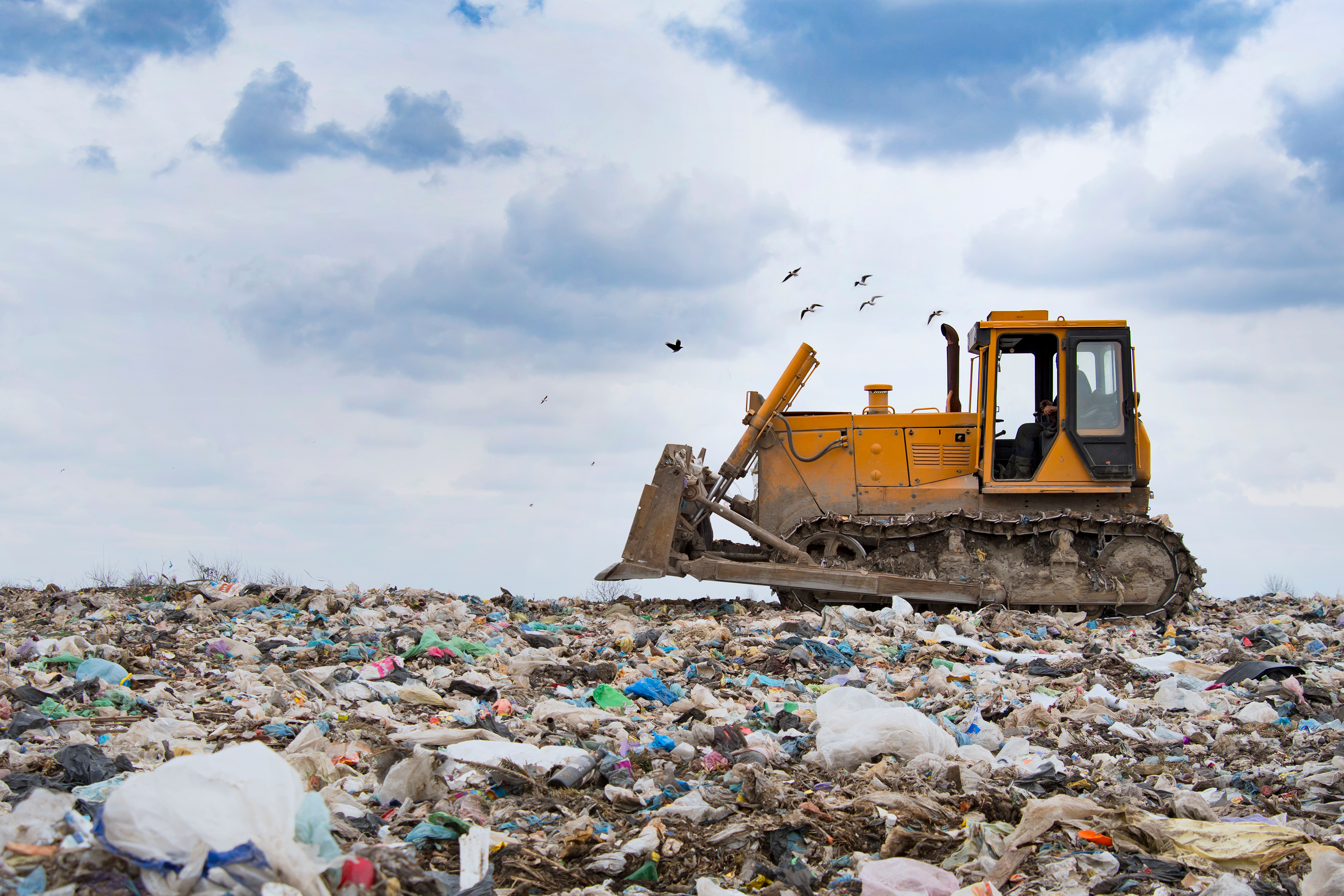 Plastic bags in a landfill