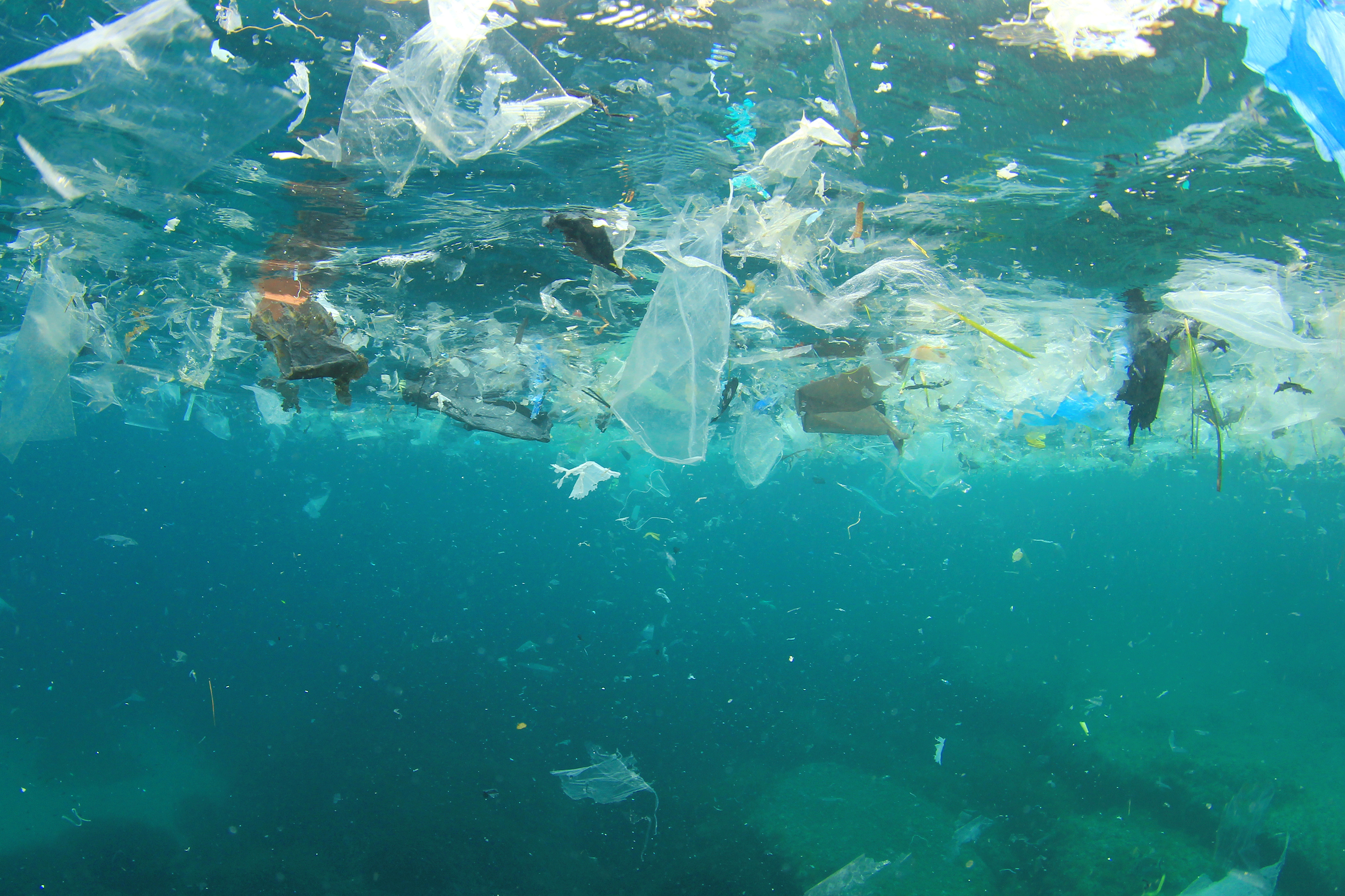 Plastic bags in ocean waste