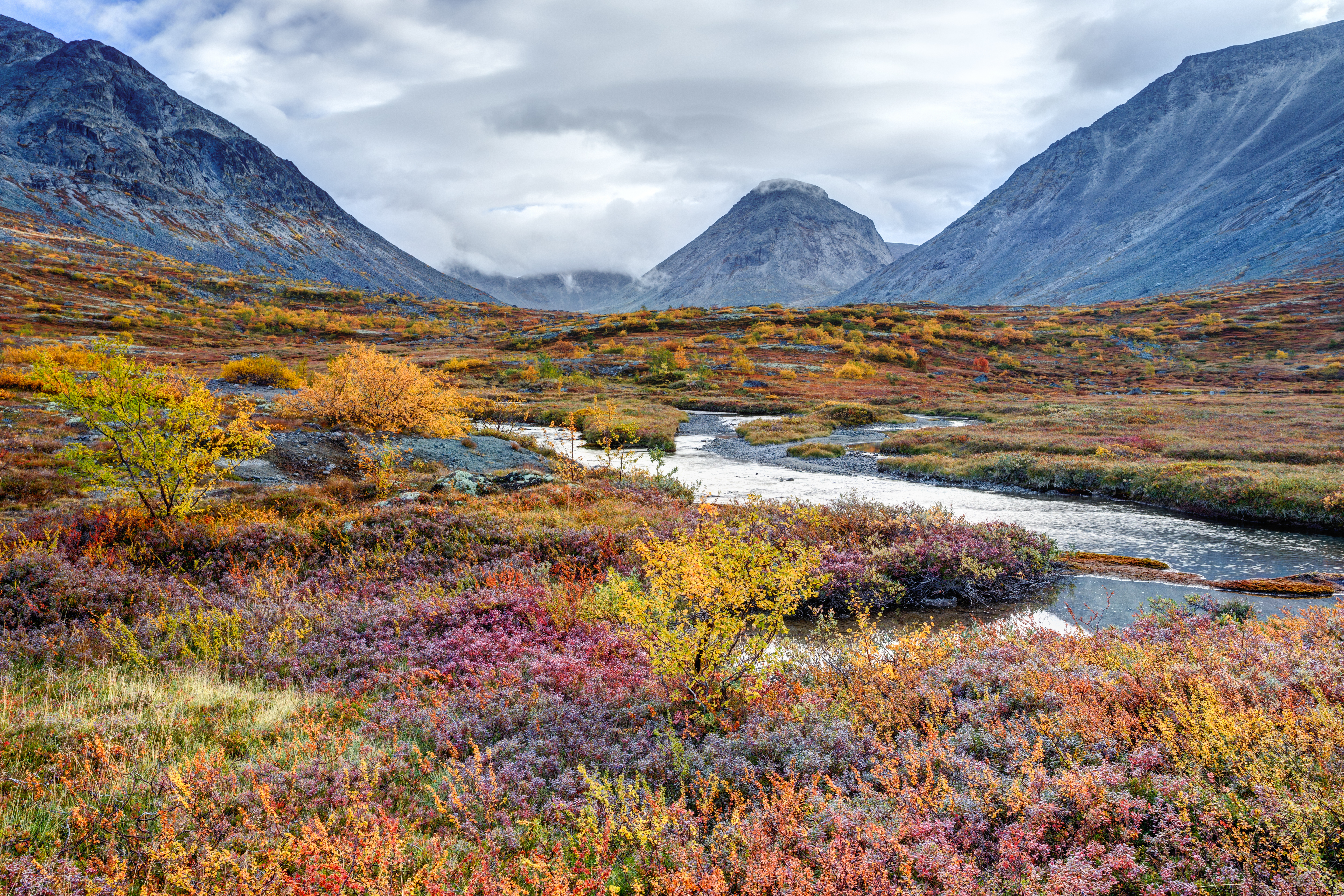 Tundra in northern Russia