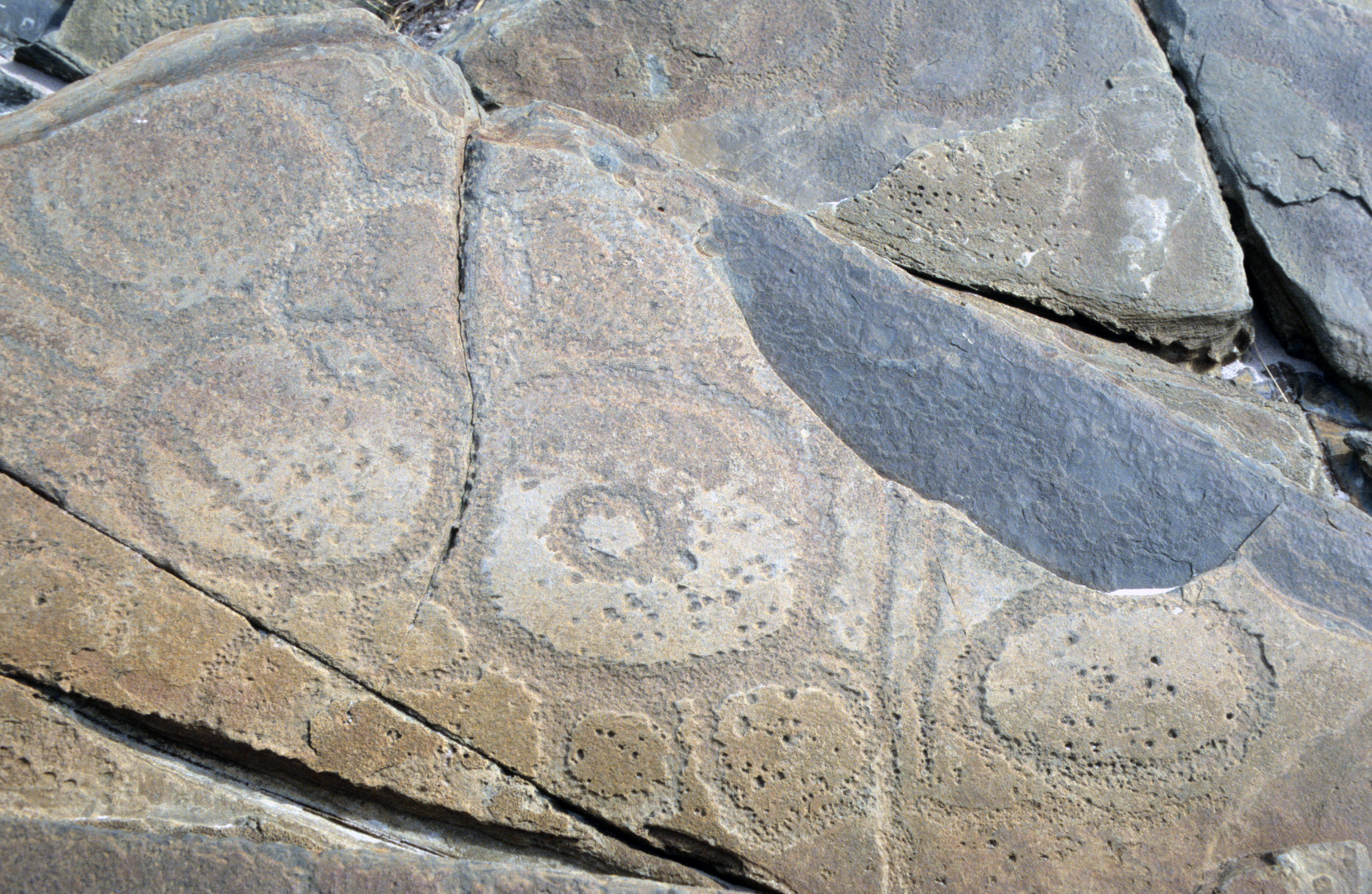 Aboriginal rock marking from Tasmania