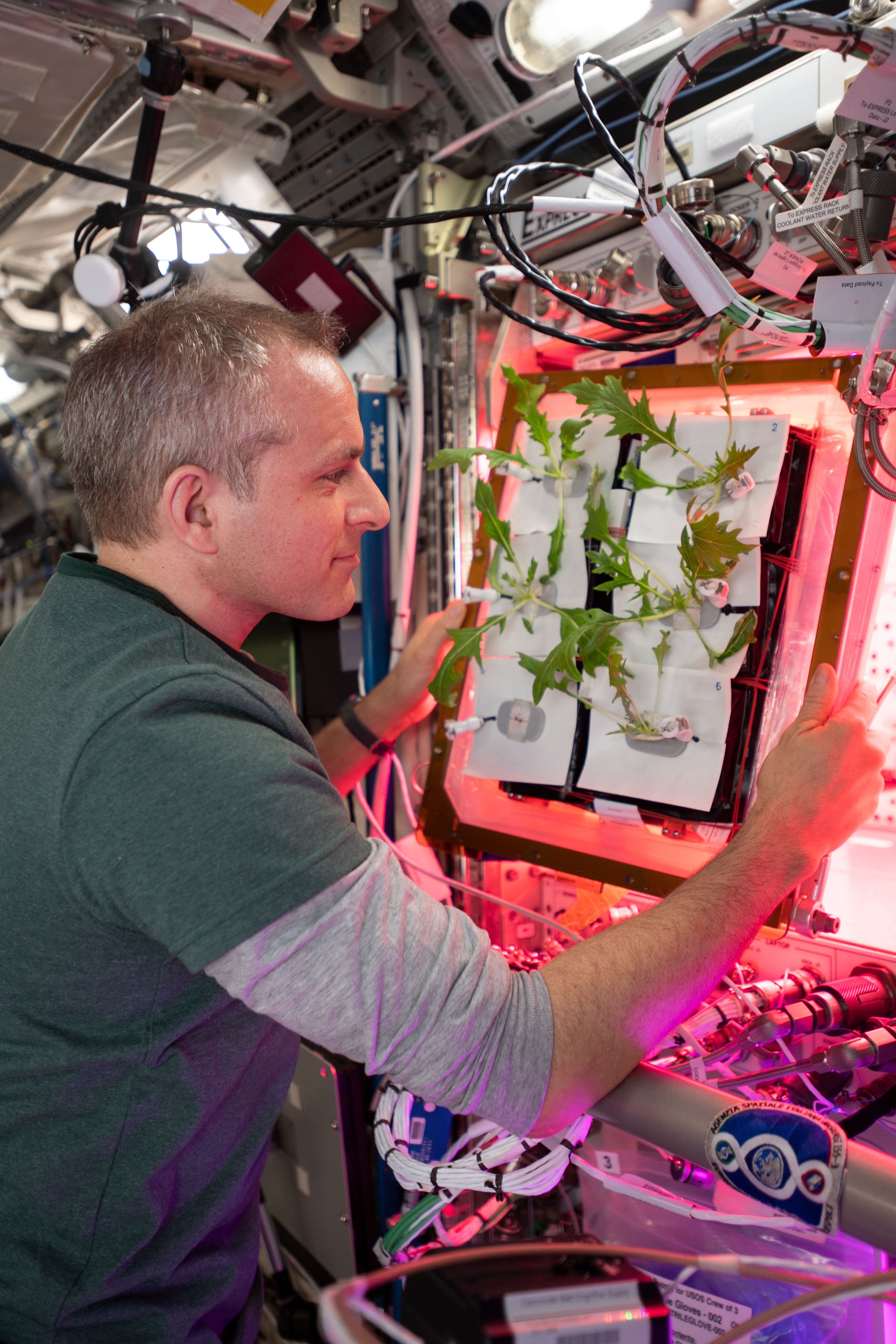 Space station garden