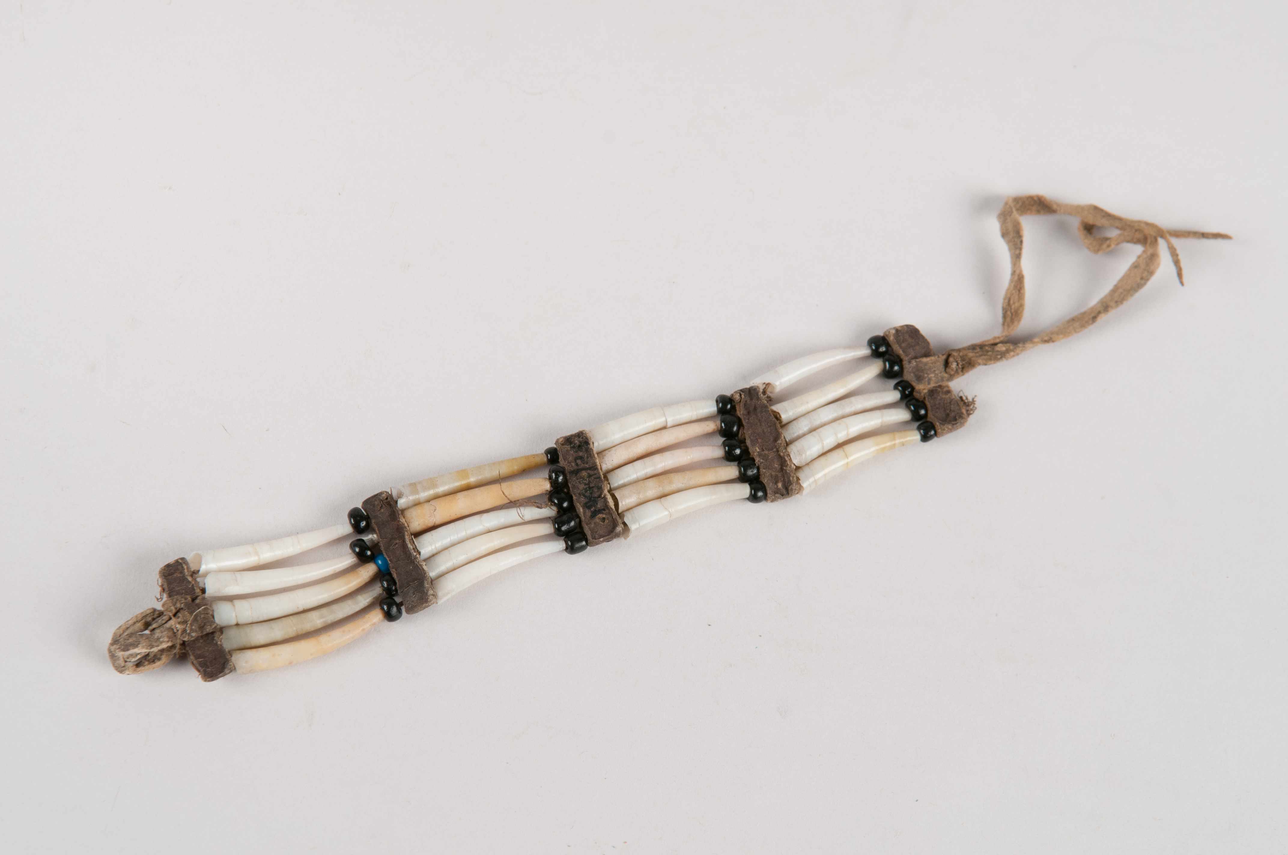 String of tooth shells used by the Plateau and Northwest Coast peoples