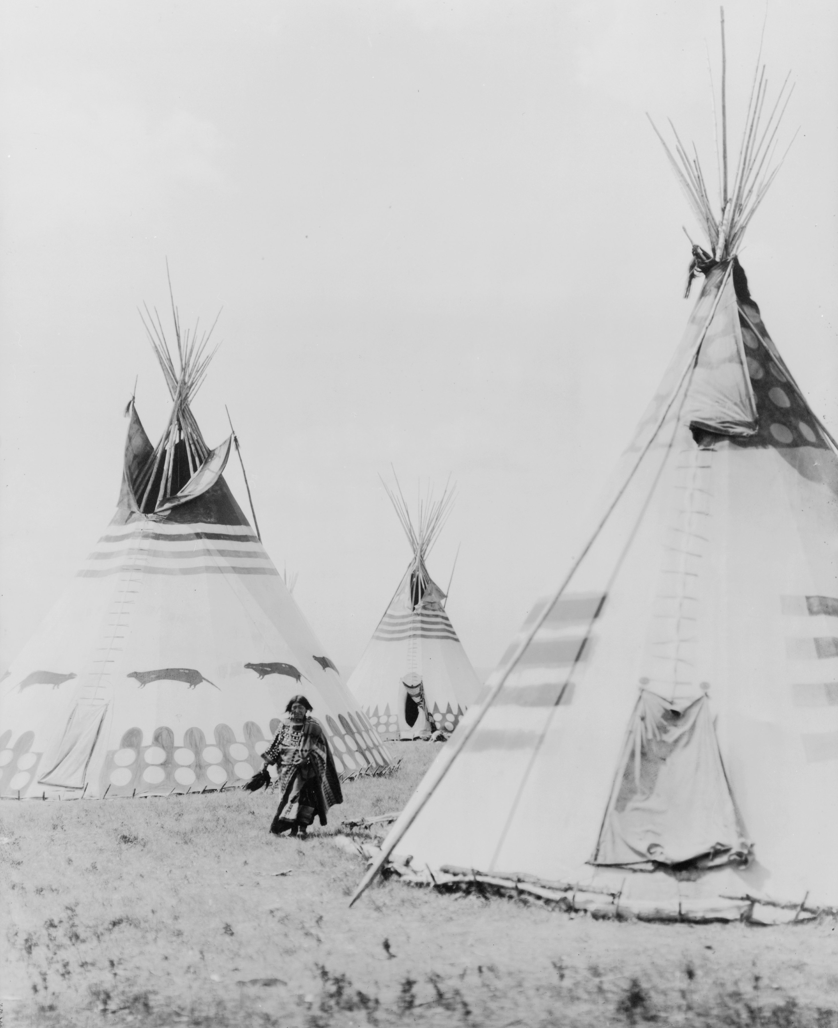 Tipis in a Kainah camp