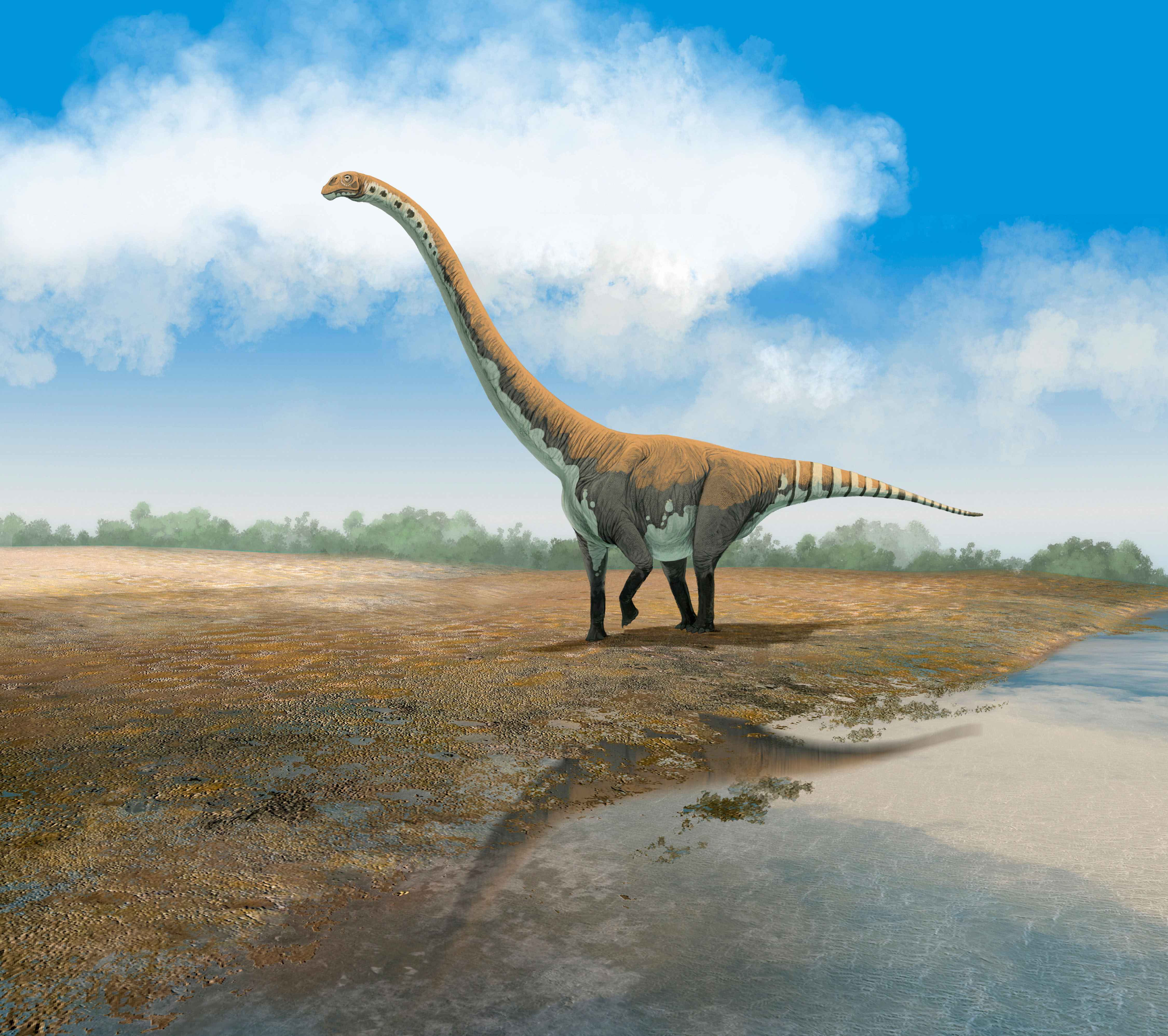 Sauropod dinosaur Omeisaurus