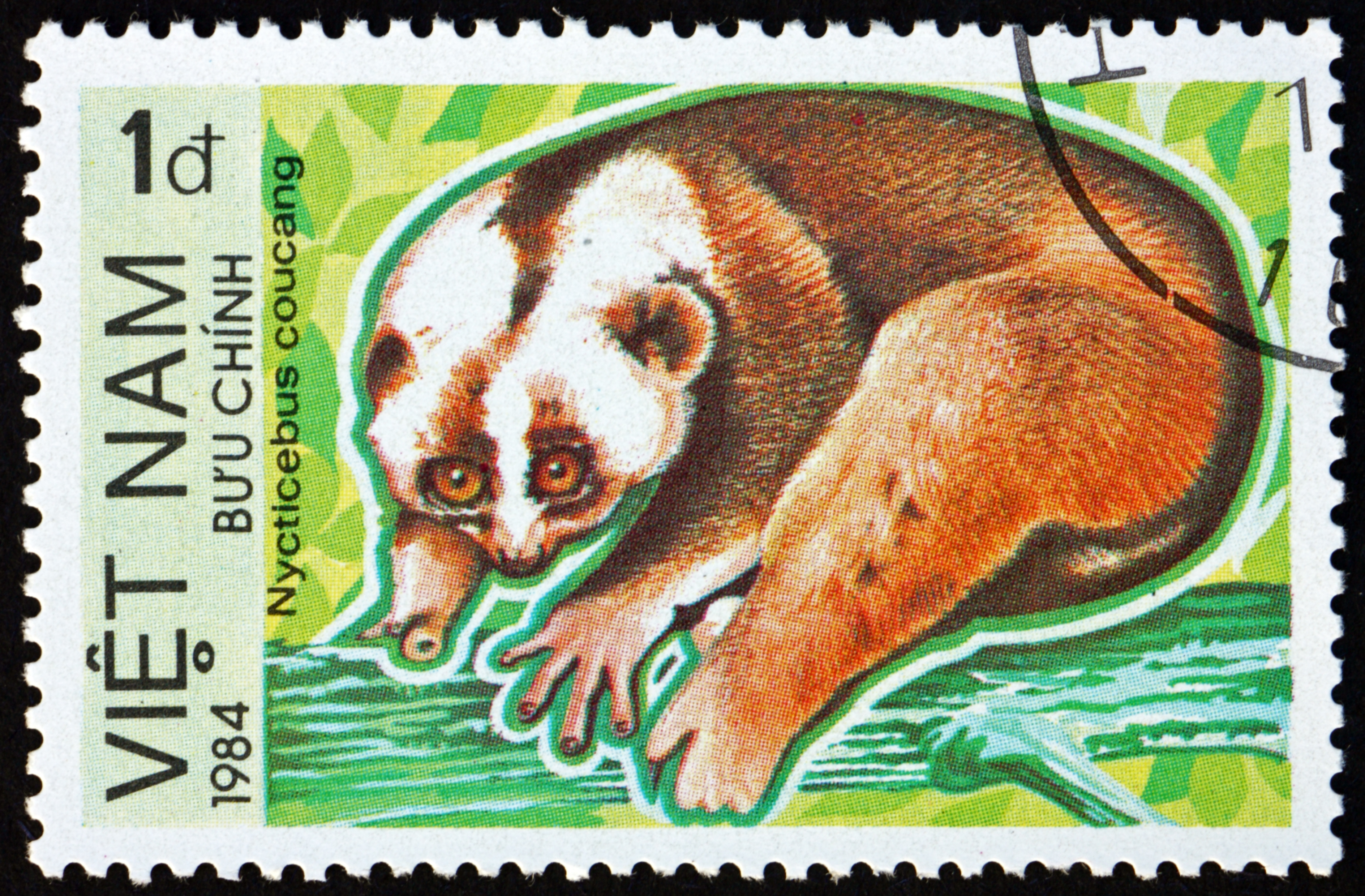 Greater slow loris postage stamp