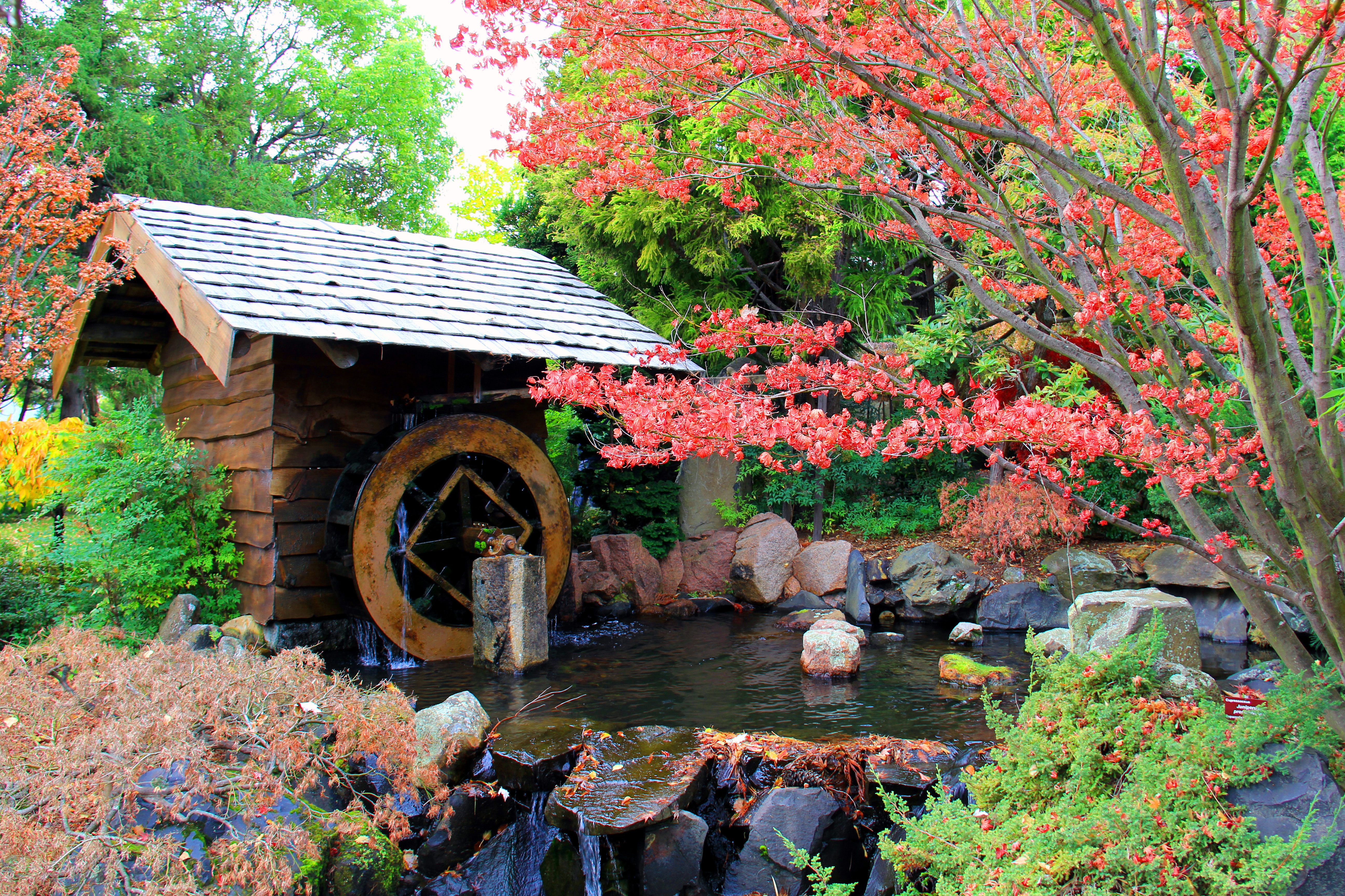 Royal Tasmanian Botanical Gardens in Hobart, Tasmania