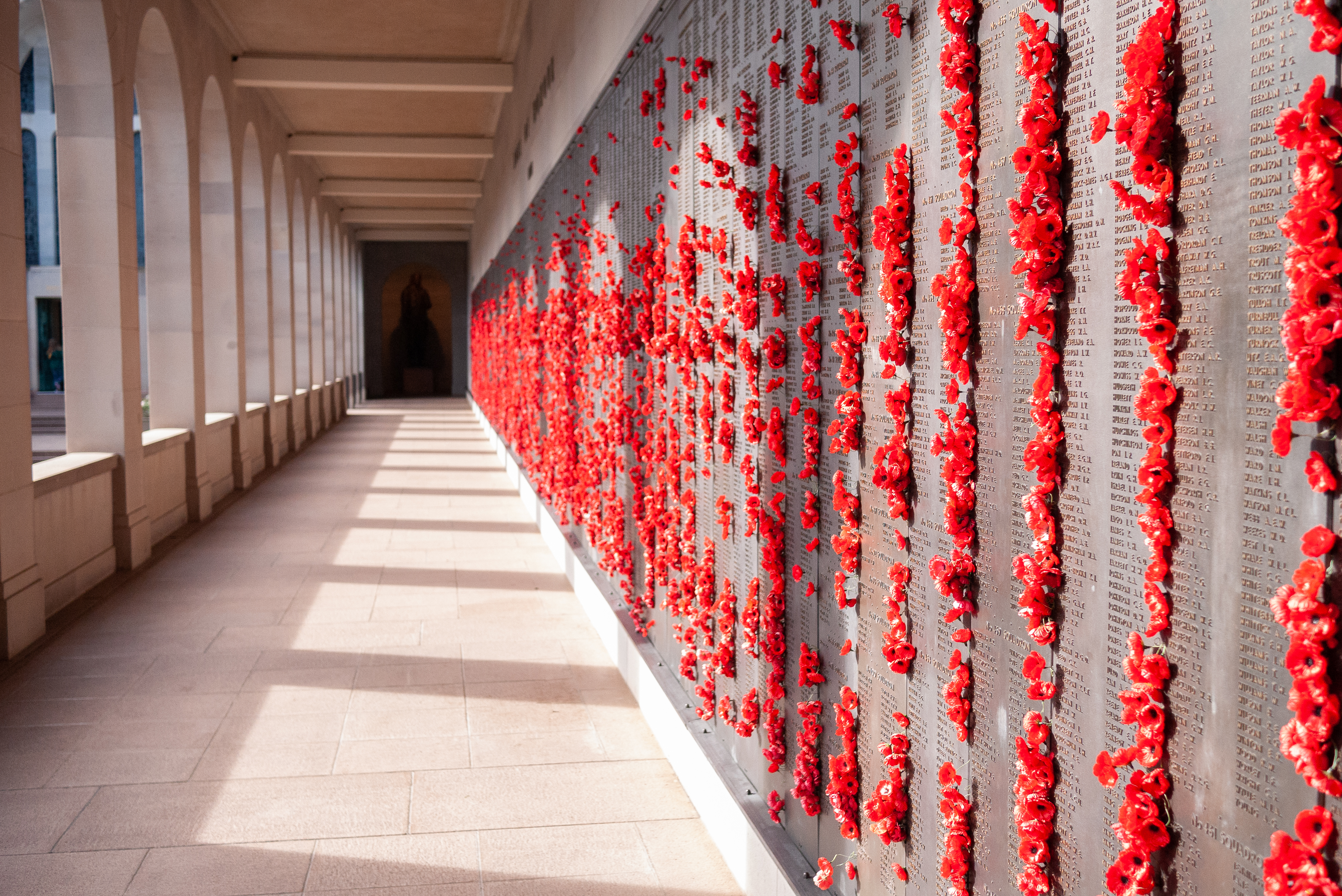 Poppy flowers at the Australian War Memorial