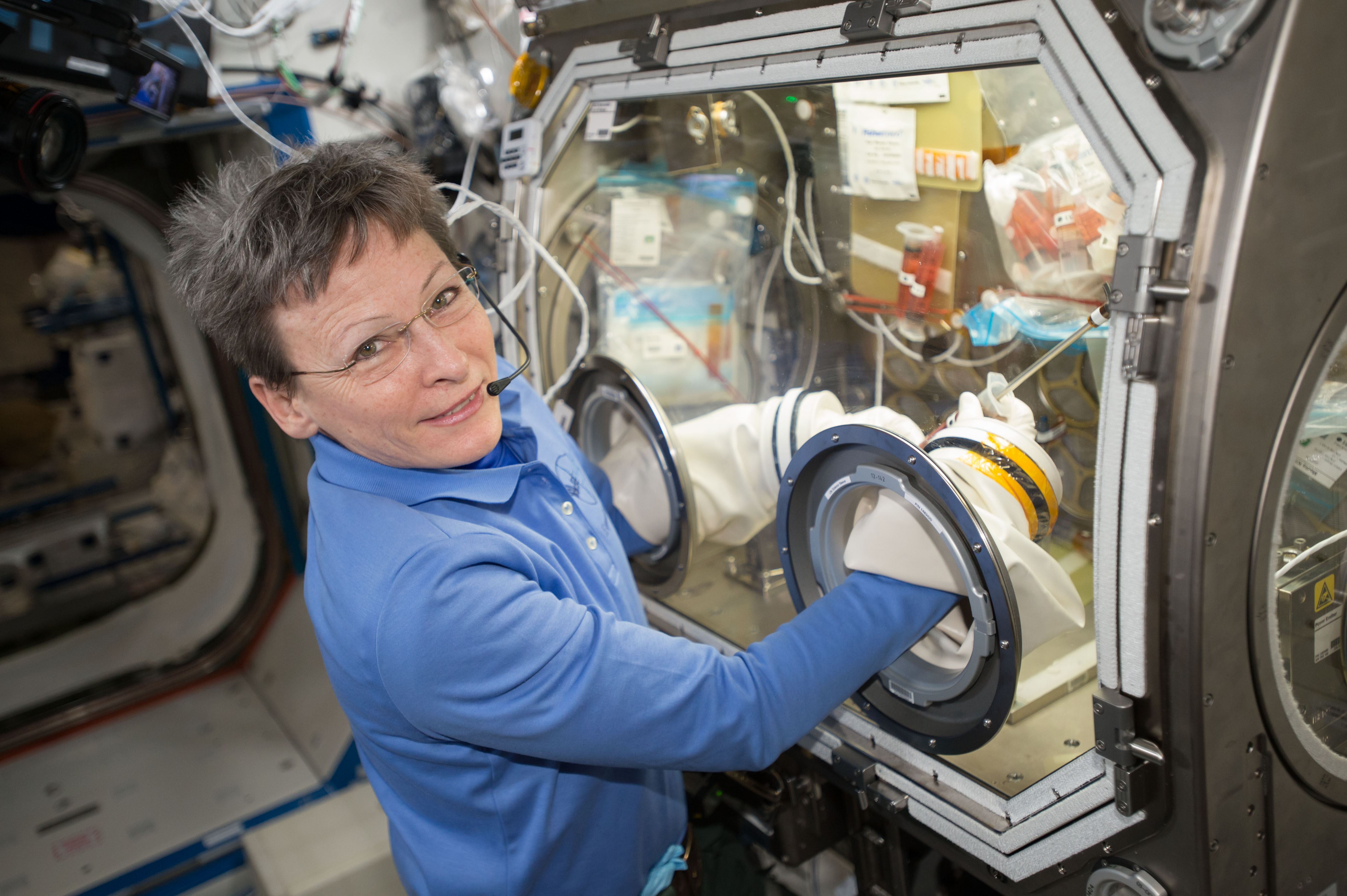 A scientific experiment on the International Space Station