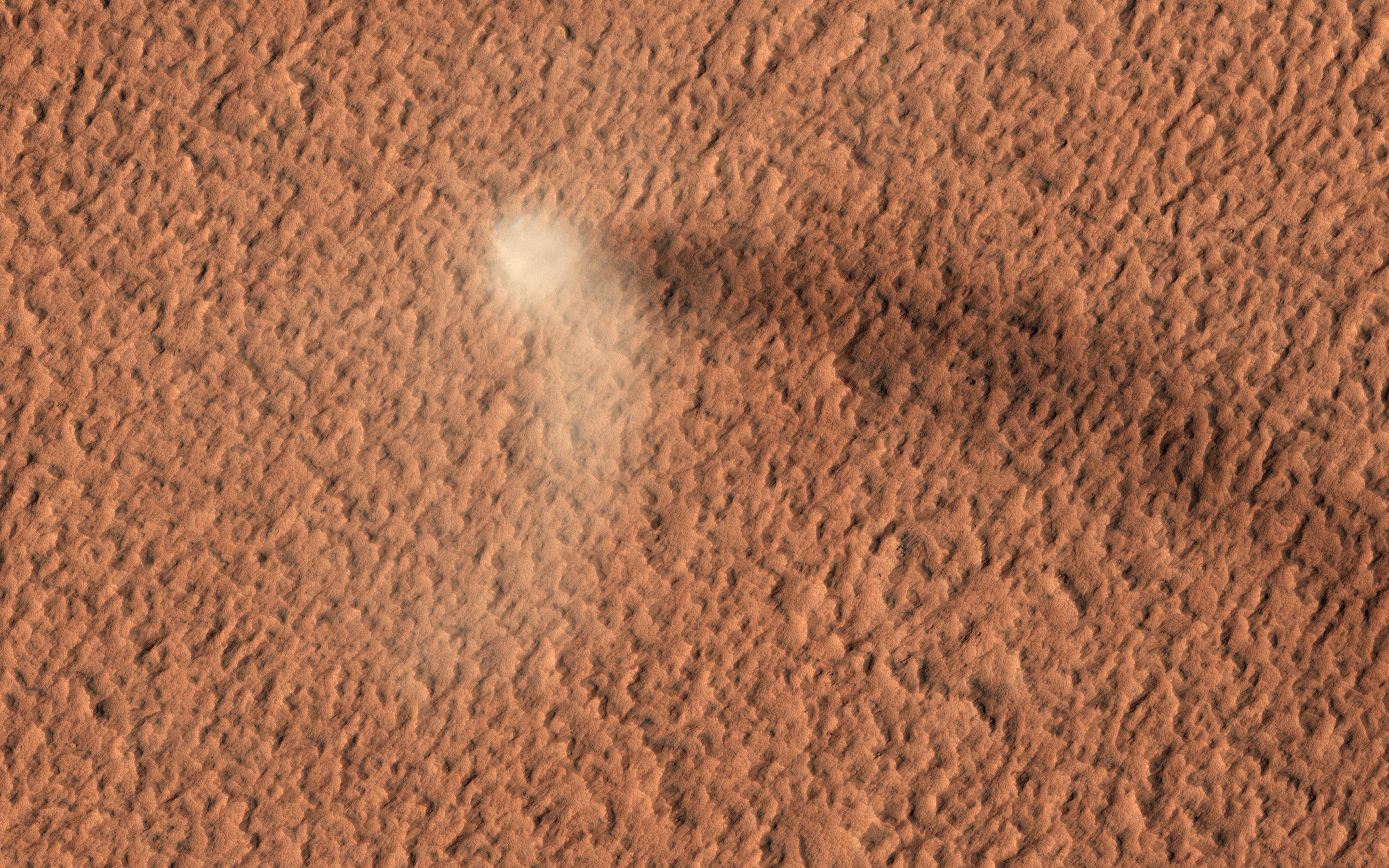 Dust devil seen from above